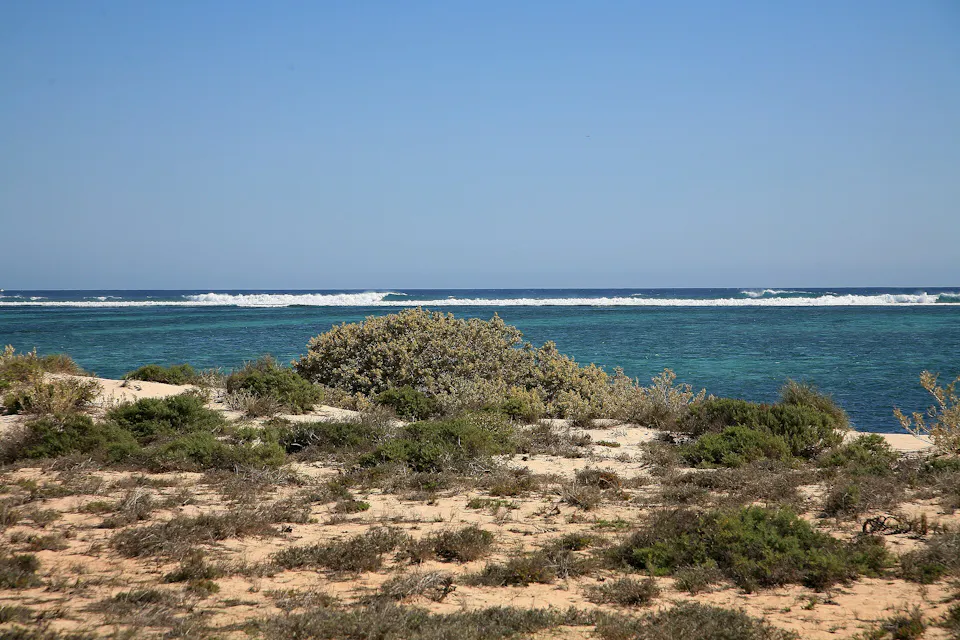 Coral Coast Highway — photo 2