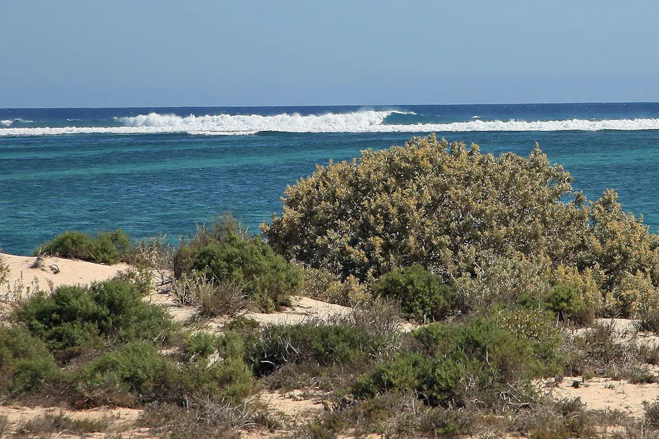 Coral Coast Highway — photo 3