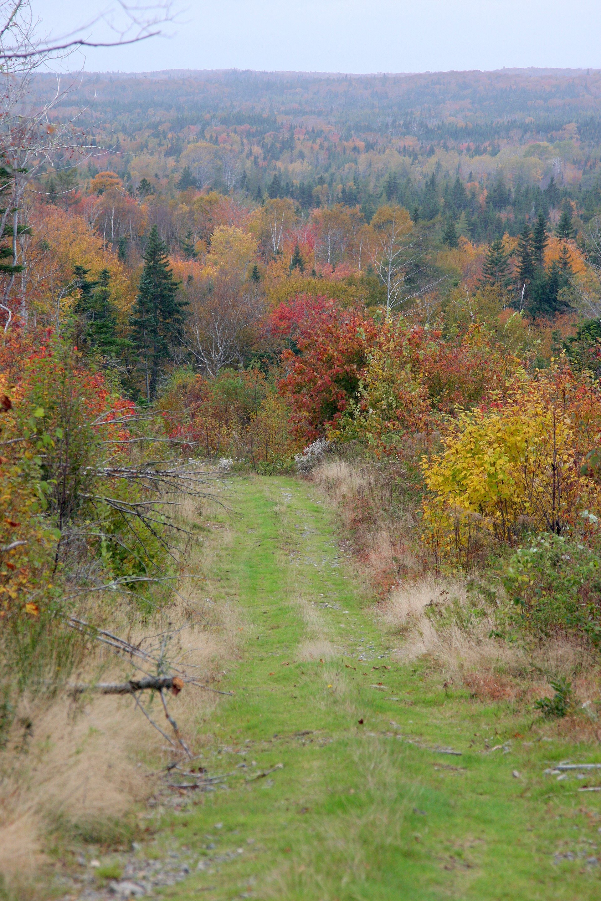 Peninsula Campground — NS