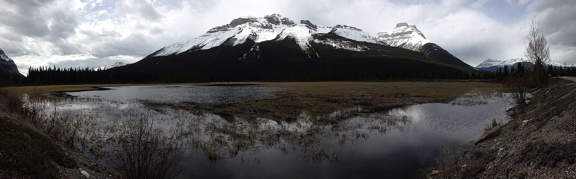 No5 - Norman Creek — AB