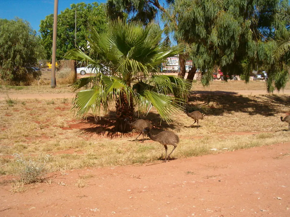 Ningaloo Coast — photo 1