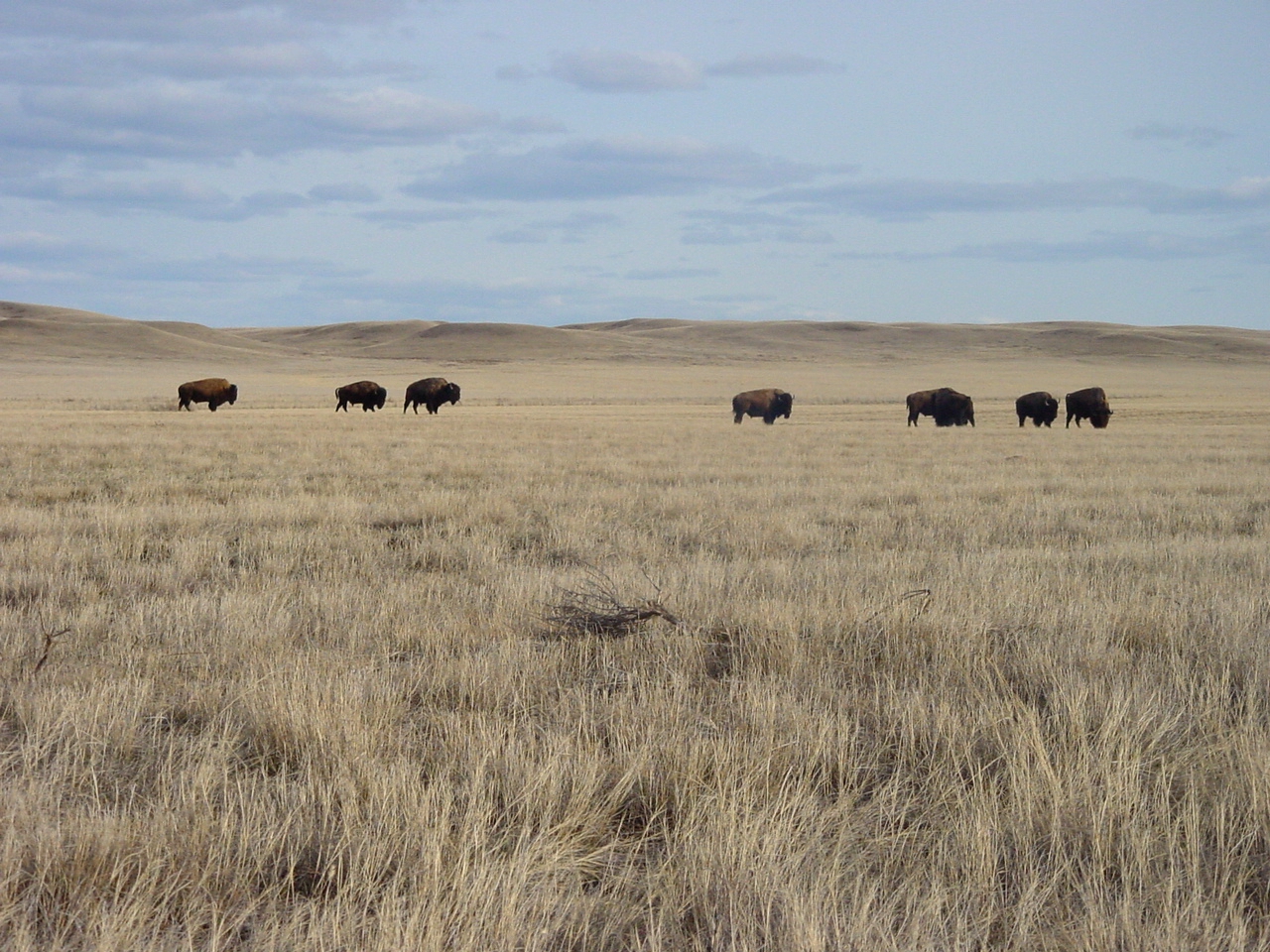 Saskatchewan camping region, 