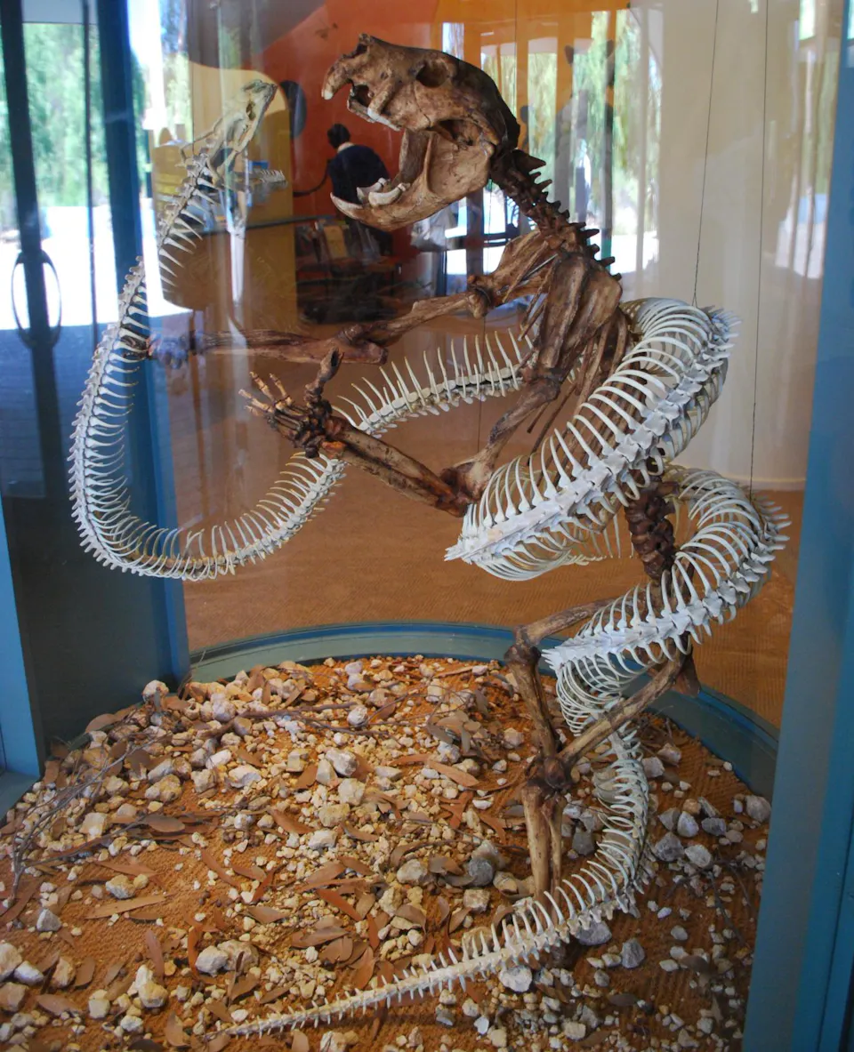 Dinosaur Trail — photo 3