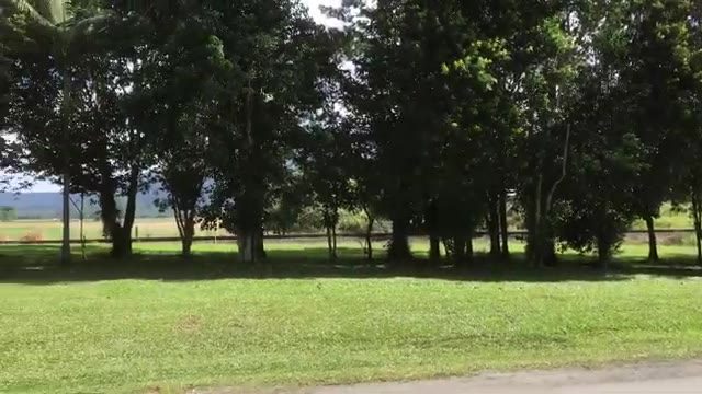 Babinda Rest Area in Babinda, QLD — photo 1