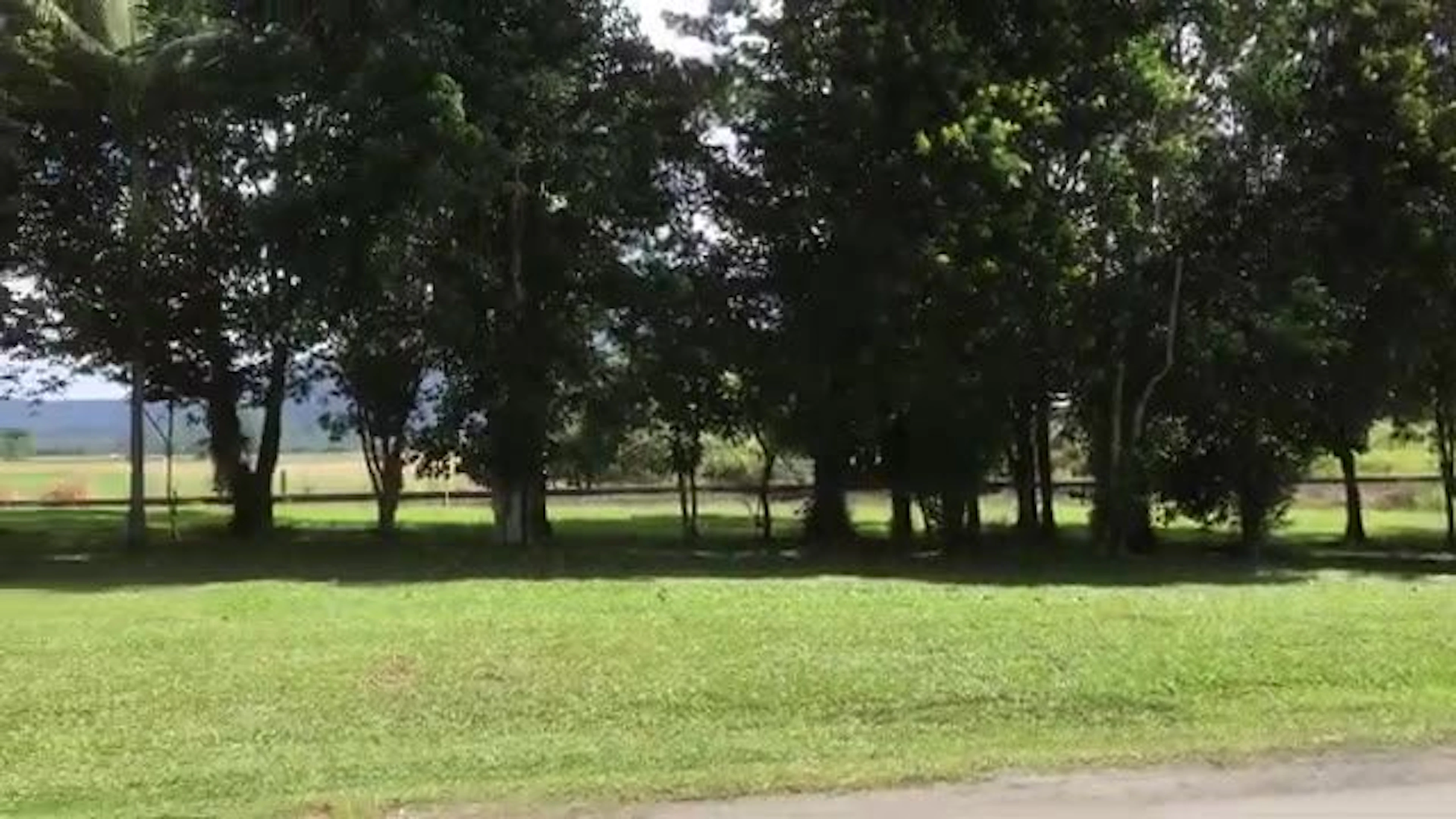Babinda Rest Area in Babinda, QLD — photo 1