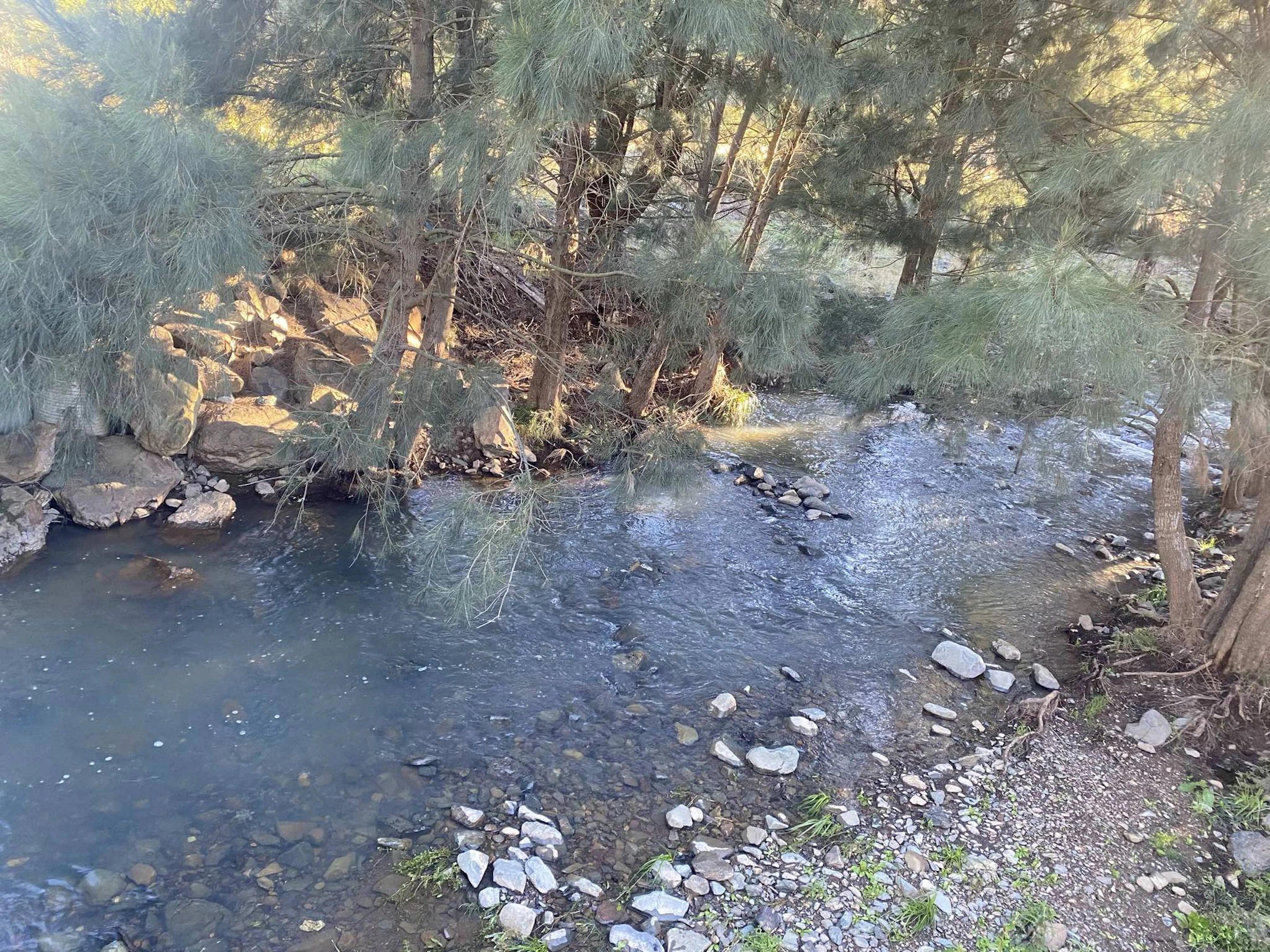 Swamp Creek Camping Area in Nundle, NSW — photo 3