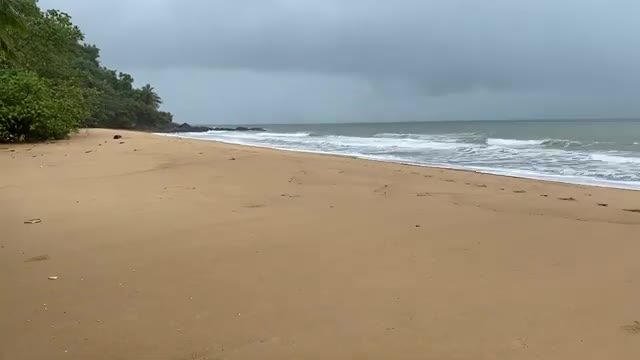 Bingil Bay Campground in Bingil Bay, QLD — photo 3