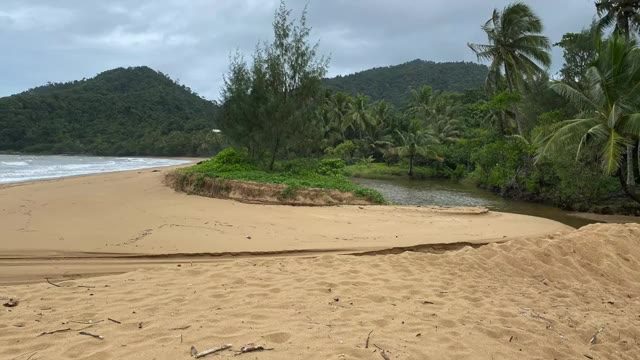 Bingil Bay Campground in Bingil Bay, QLD — photo 2
