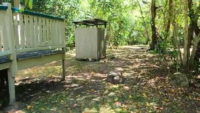 Jourama Falls Campground in Yuruga, QLD — photo 1