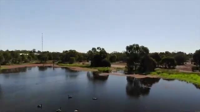 Bluewater Park Rest Area in Bluewater Park, QLD — photo 2