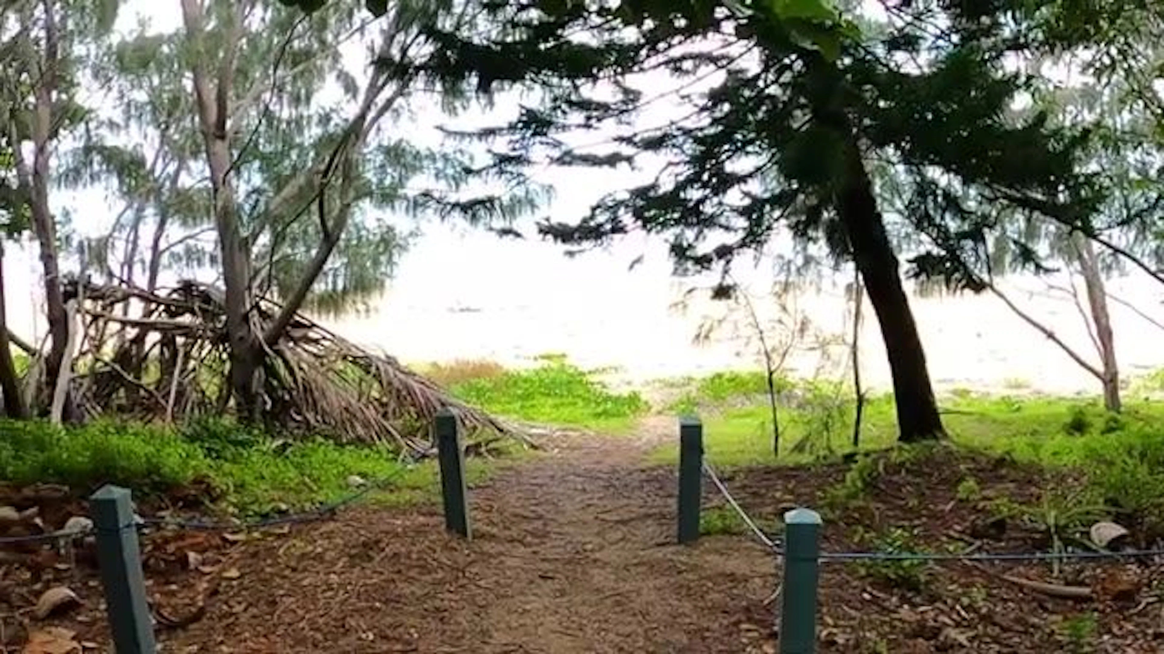 Saunders Beach Park Rest Area in Saunders Beach, QLD — photo 2
