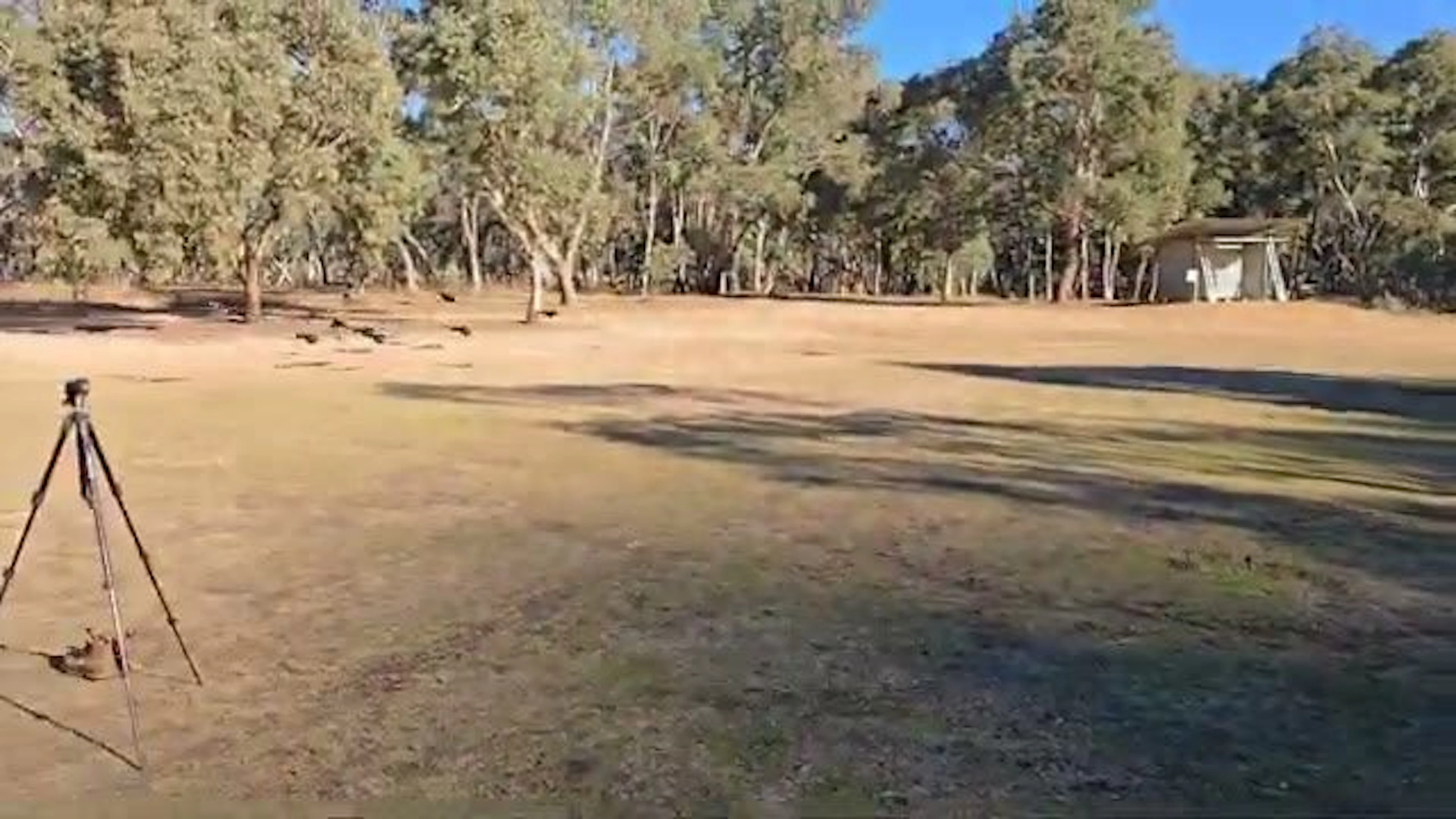 Diggings Camping Area in Blue Mountains — photo 4