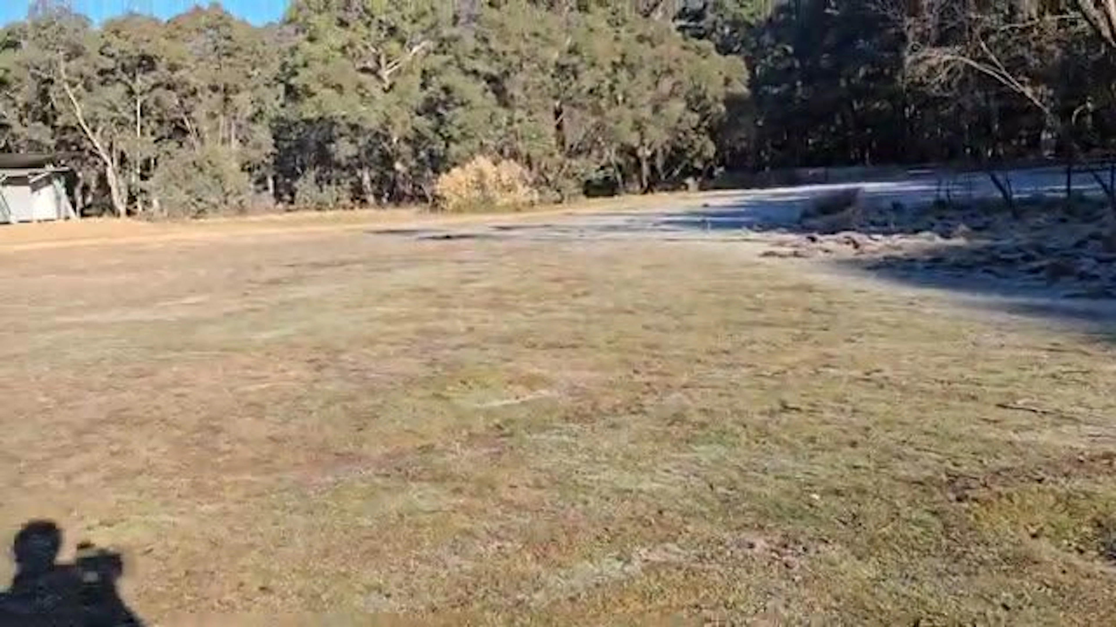 Diggings Camping Area in Blue Mountains — photo 5