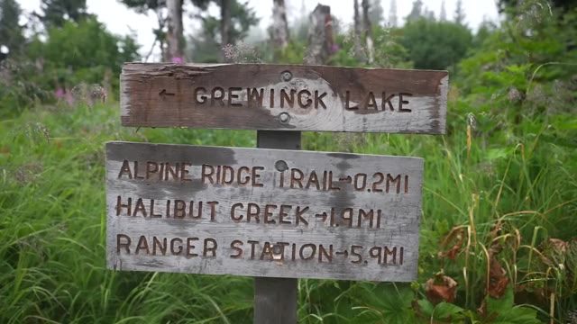 Grewingk Trailhead Campsite in AK — photo 3