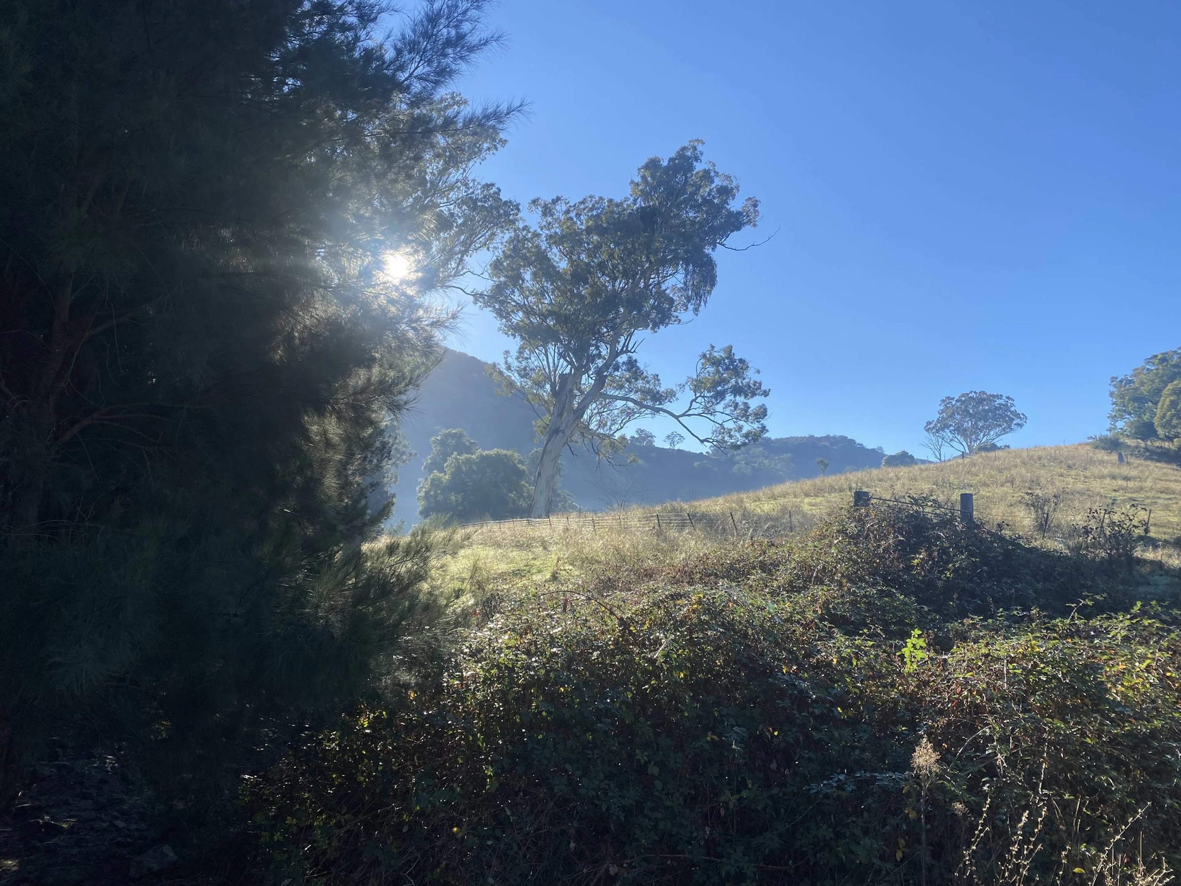 Swamp Creek Camping Area in Nundle, NSW — photo 2