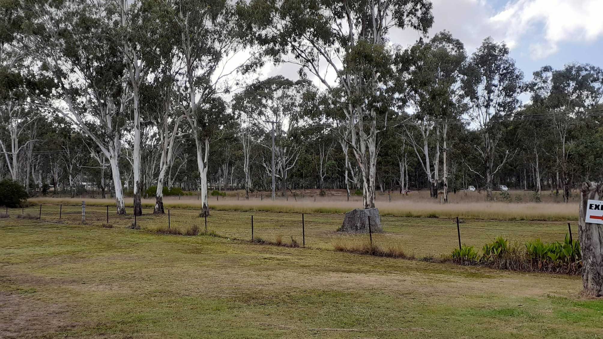 Twin Gums Caravan Park in Nanango, QLD — photo 3