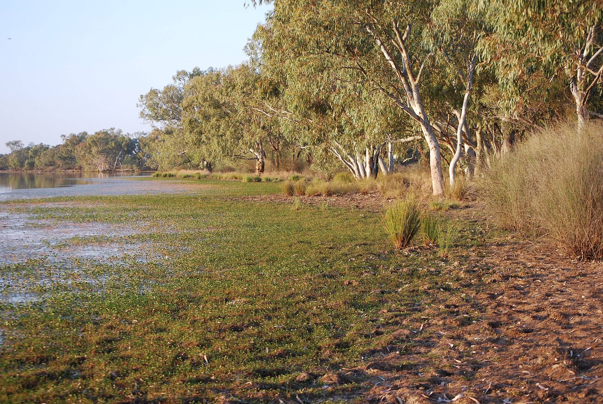 Lake Houdraman Camping Area in Quilpie, QLD — photo 1