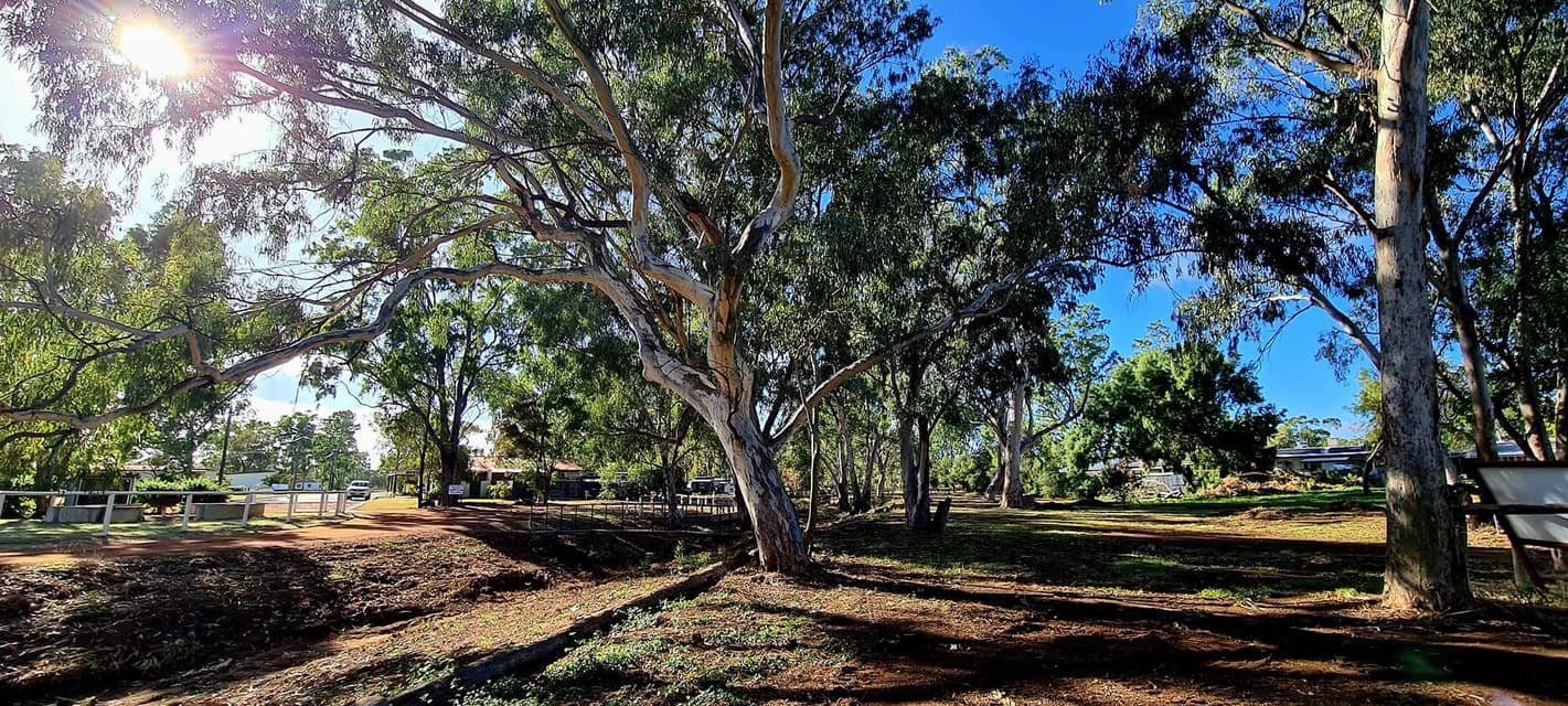 Cobb and Co Caravan Park in Charleville, QLD — photo 3