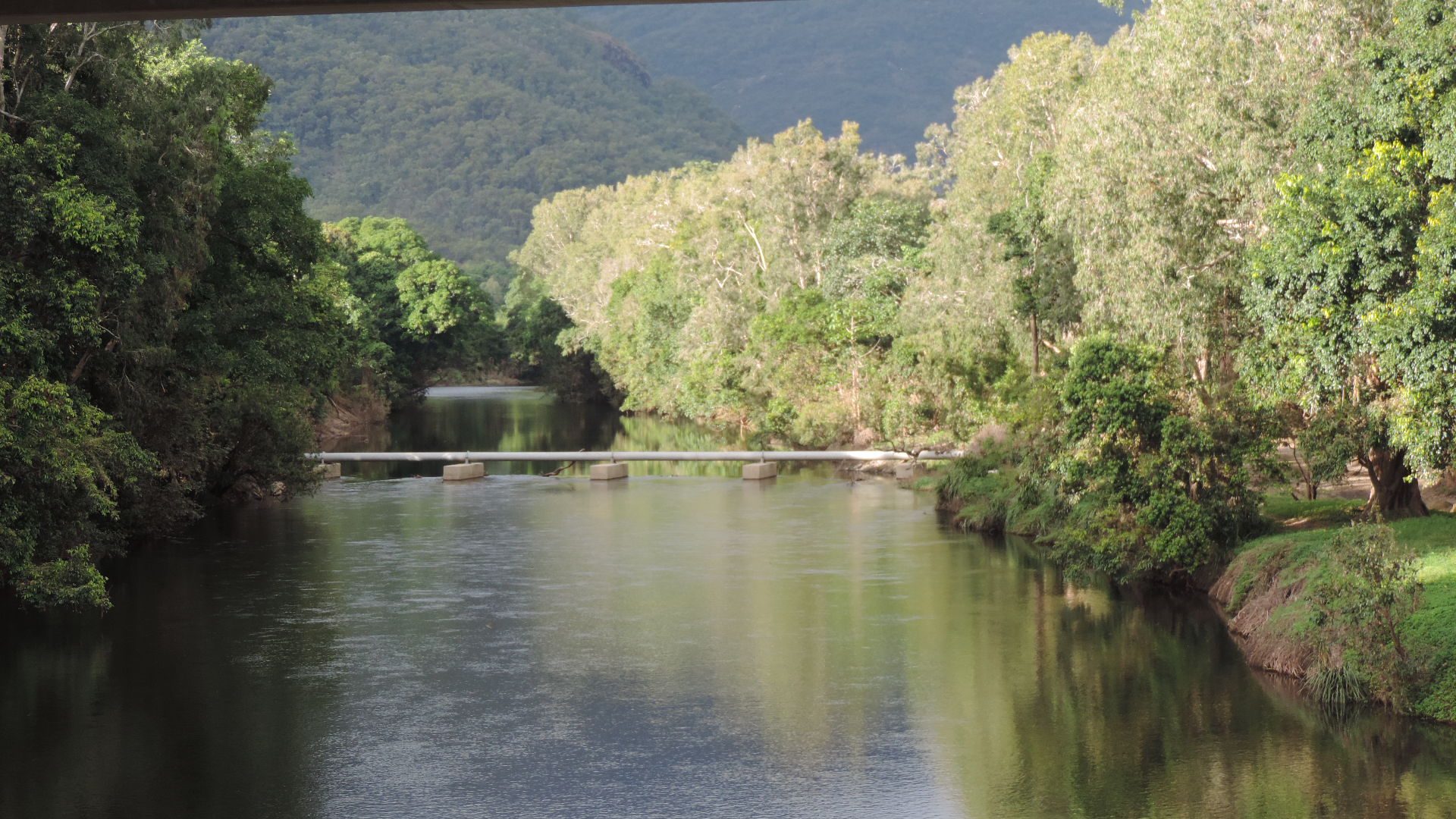 Greenpatch Reserve Gordonvale — Gordonvale, QLD