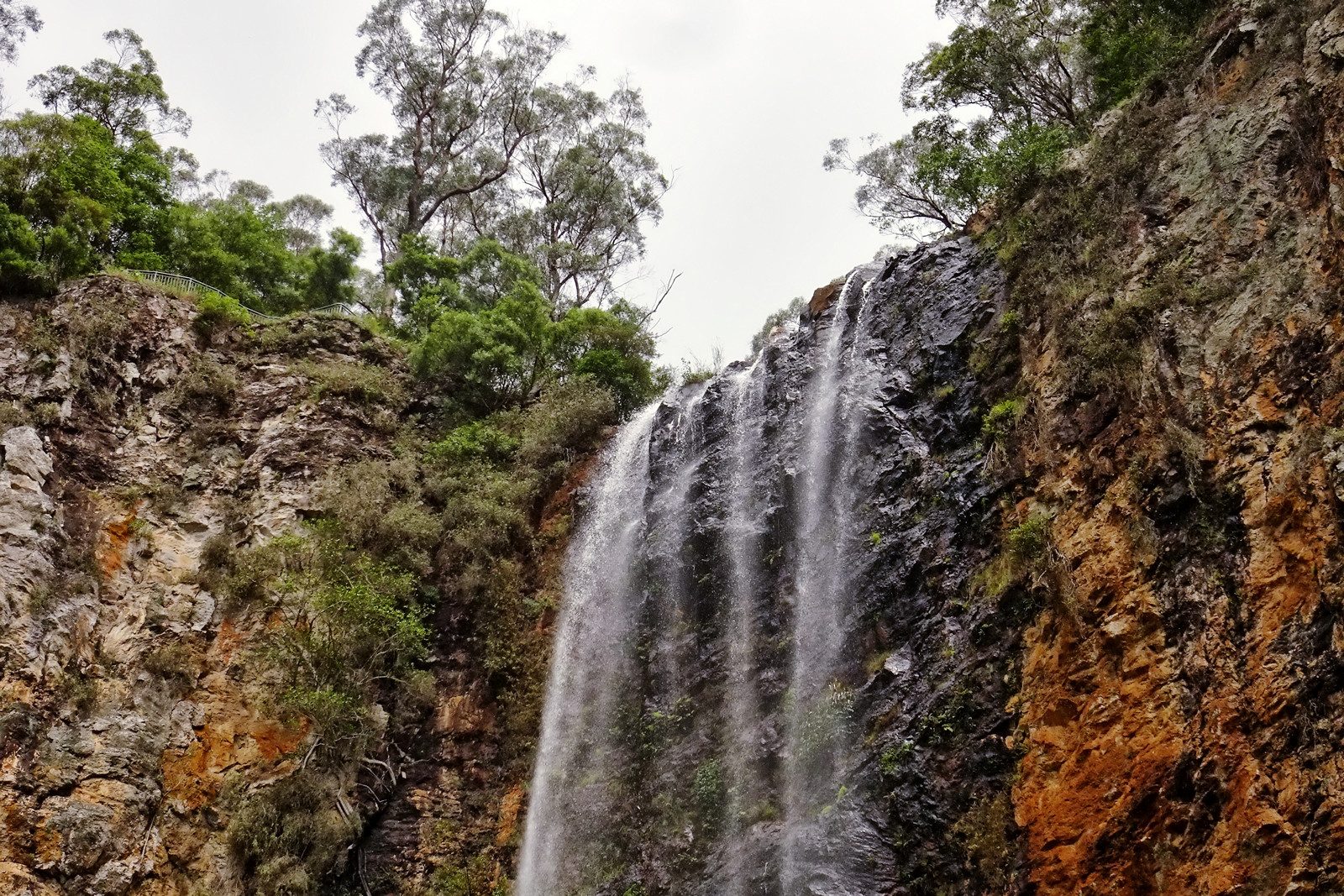 The Settlement Camping Area — Springbrook, QLD