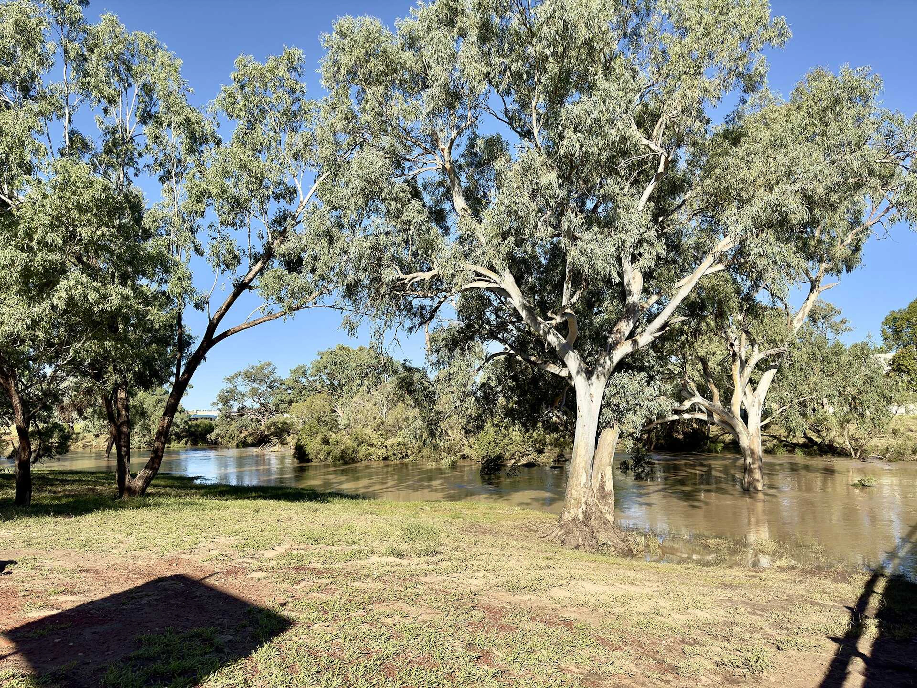 Charleville Bush Caravan Park and Cottage in Charleville, QLD — photo 1