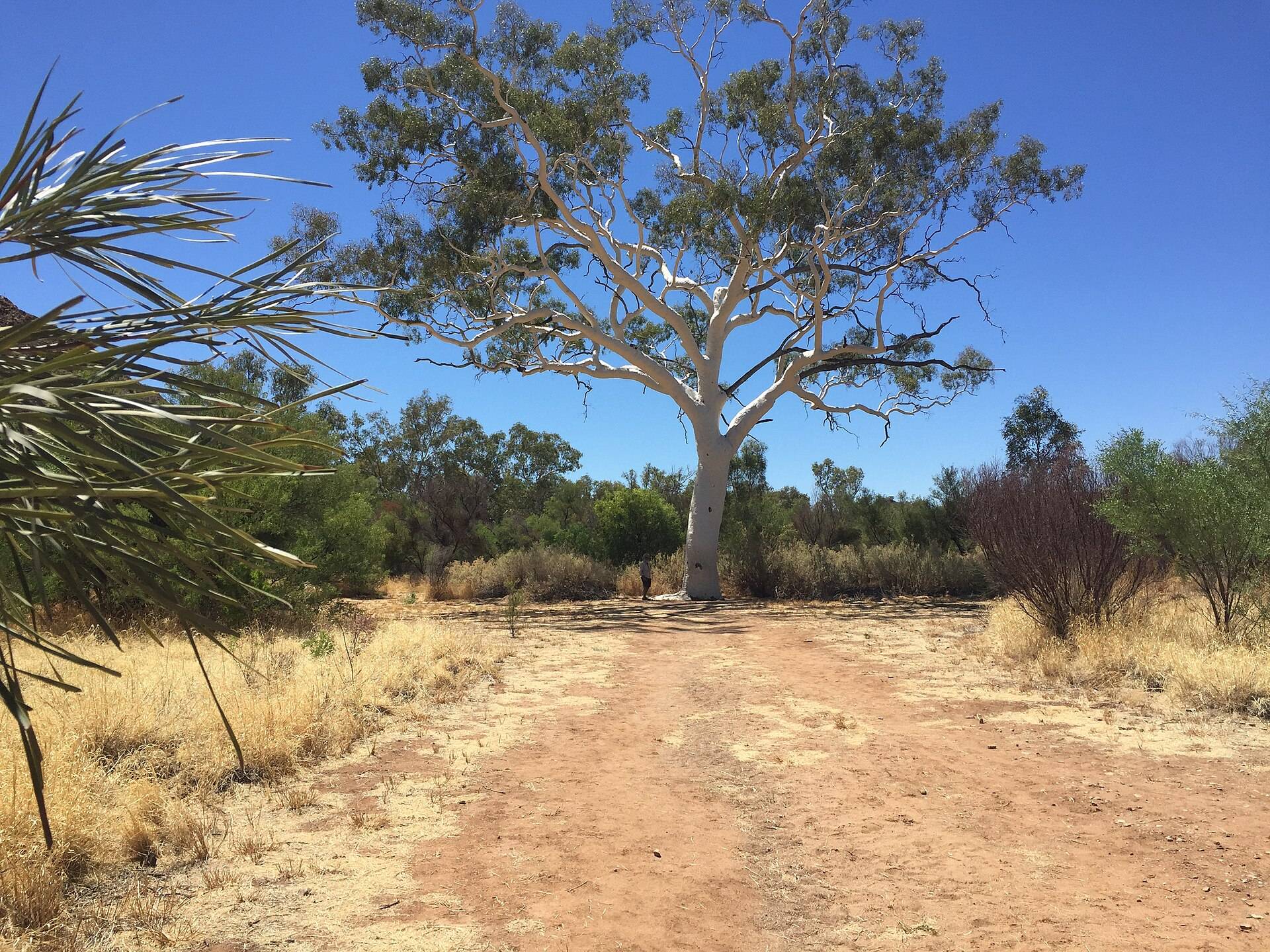 Trephina Gorge Campground in Alice Springs, NT — photo 1