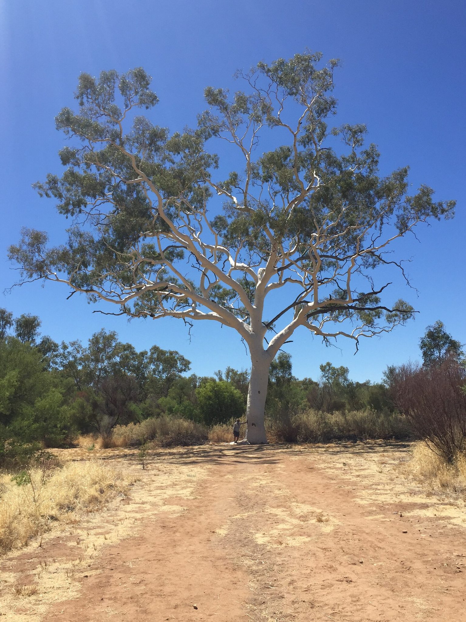 Trephina Gorge Campground in Alice Springs, NT — photo 2