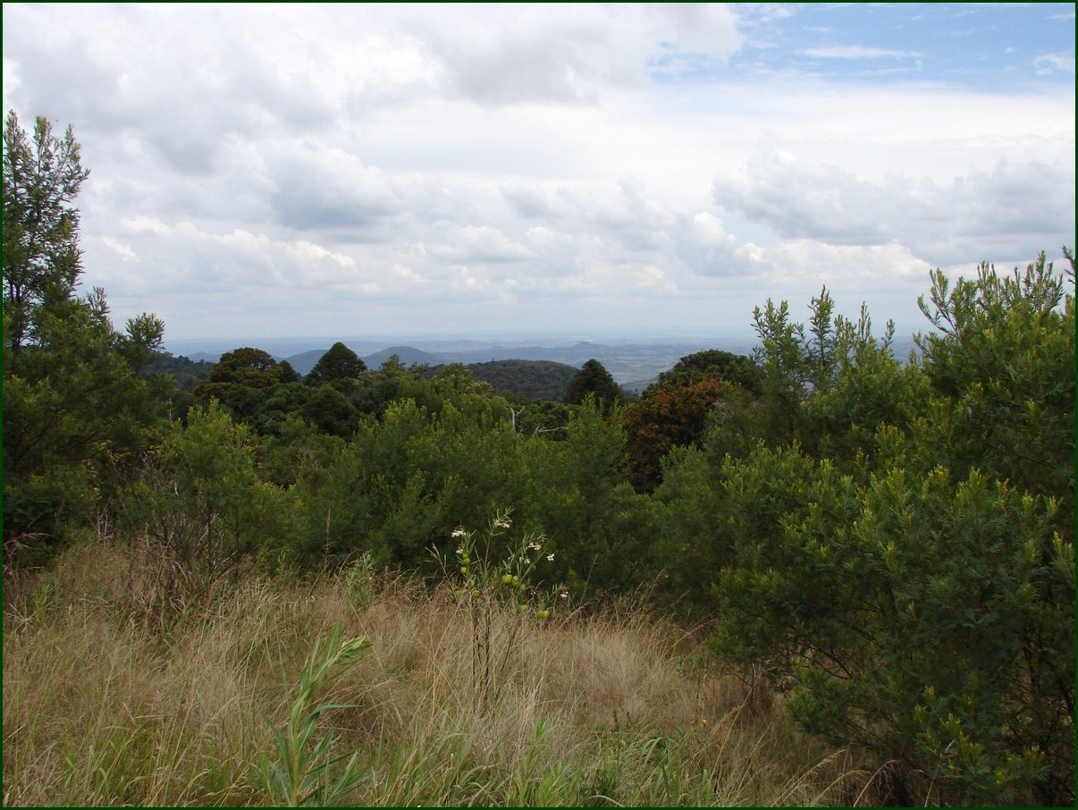 Bushland Park Cabins and Camping — Bunya Mountains, QLD