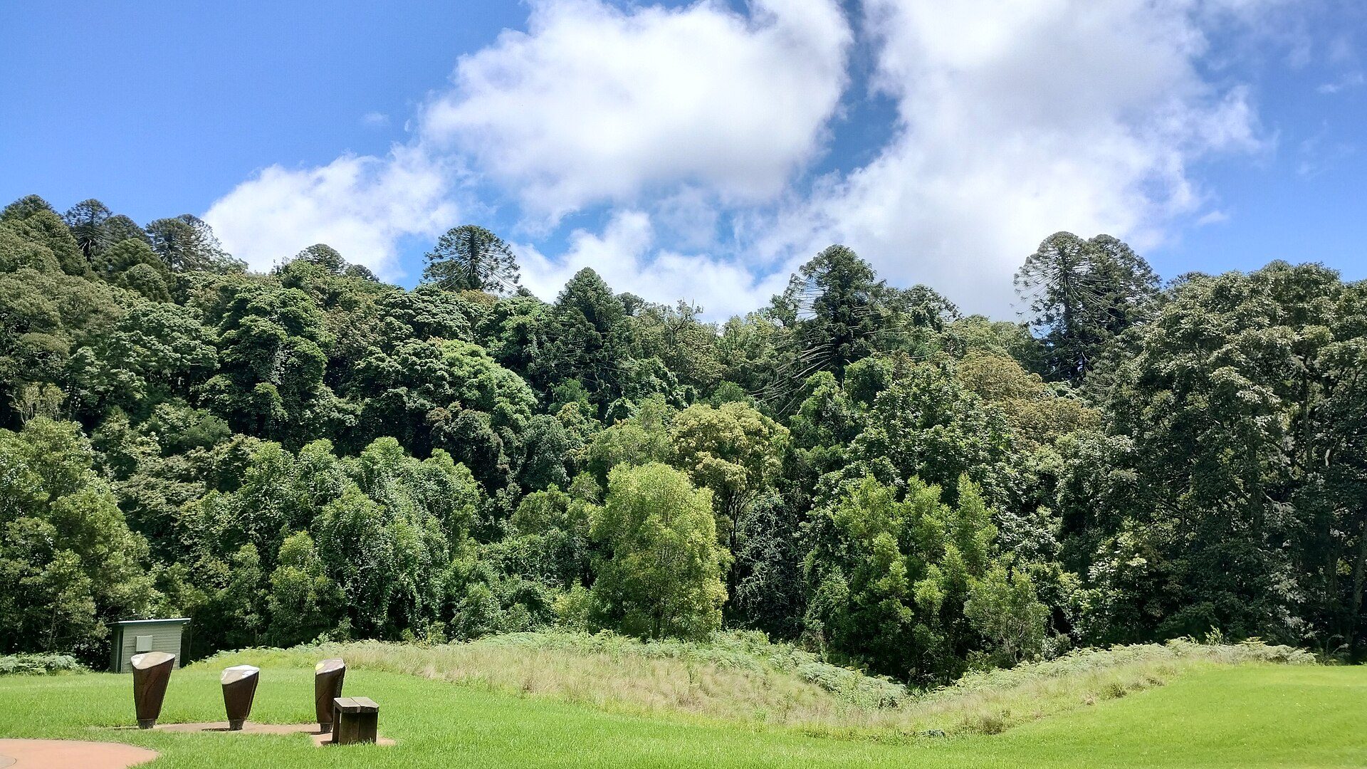 Dandabah Campground — Bunya Mountains, QLD
