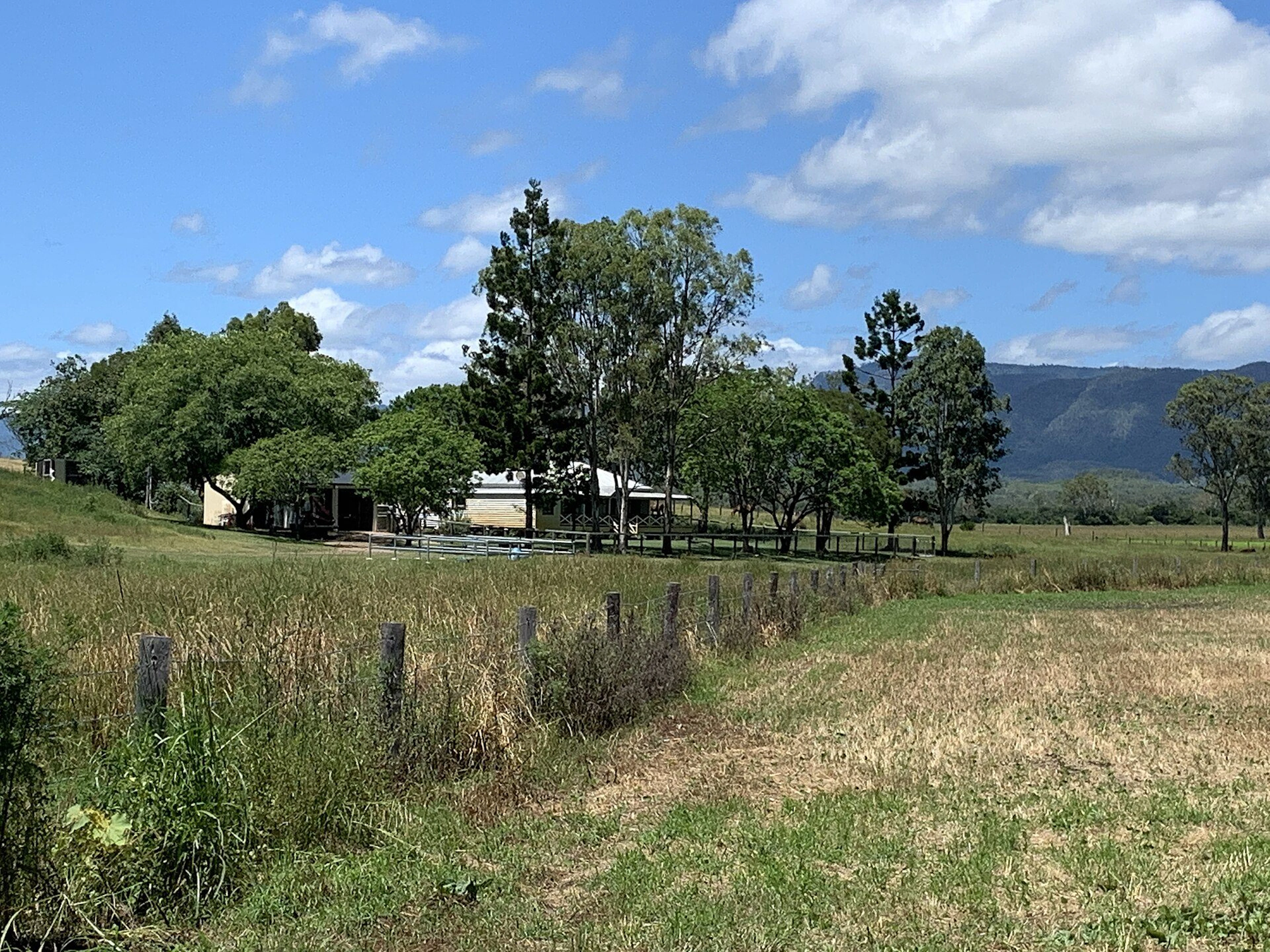Rosevale Retreat Hotel in Rosevale, QLD — photo 2