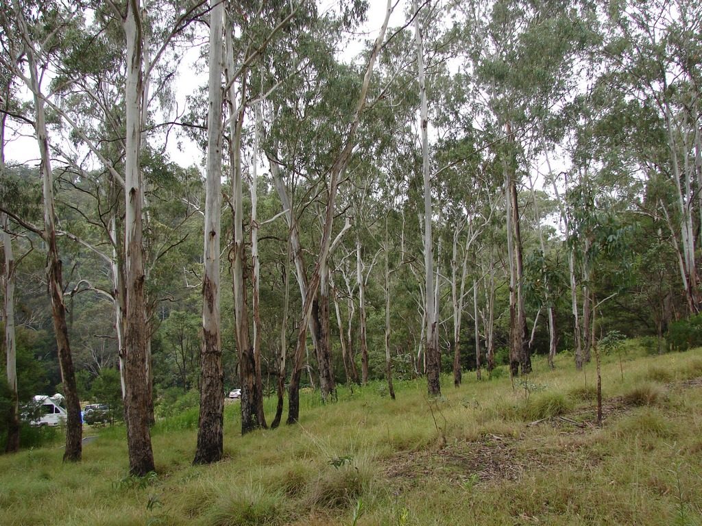 Goomburra Valley Campground in Goomburra, QLD — photo 1