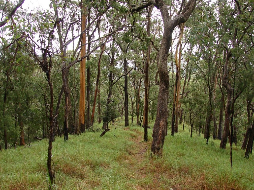 Goomburra Valley Campground — Goomburra, QLD