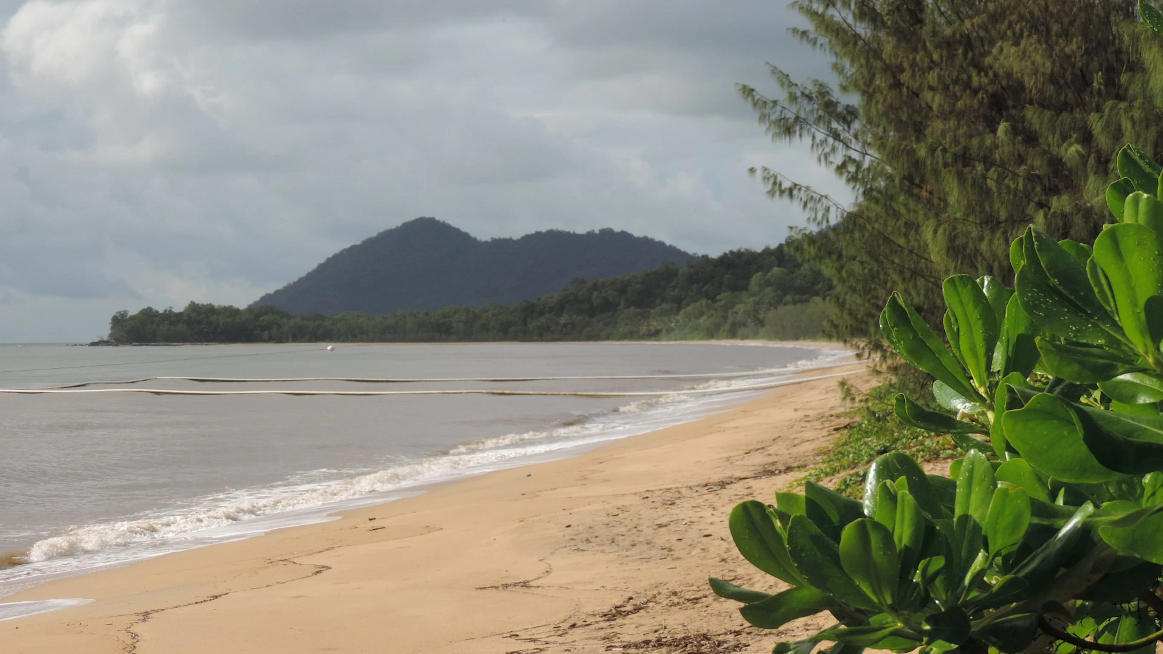 Bramston Beach Plantation Caravan Park in Bramston Beach, QLD — photo 2
