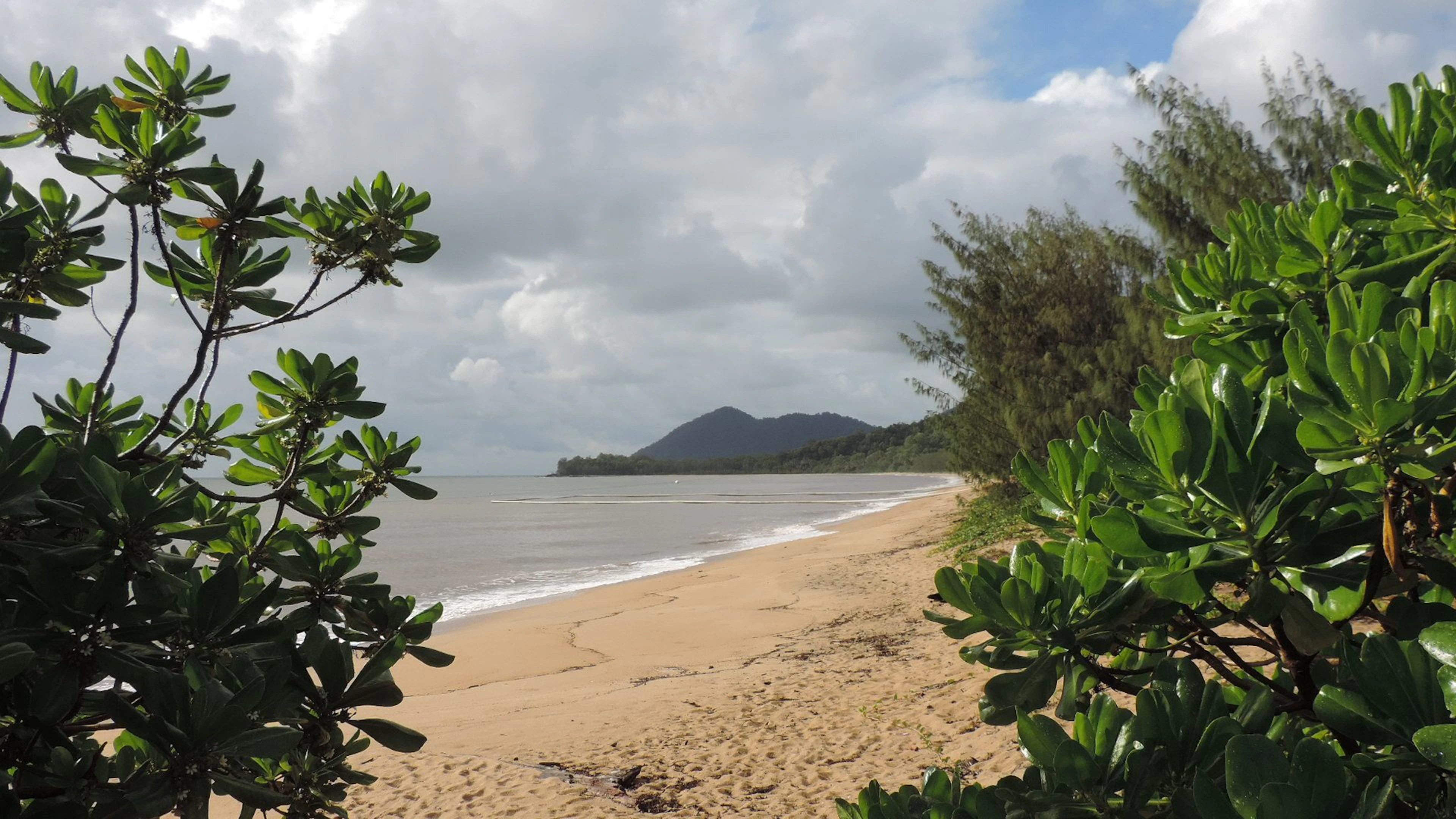 Bramston Beach Plantation Caravan Park in Bramston Beach, QLD — photo 3