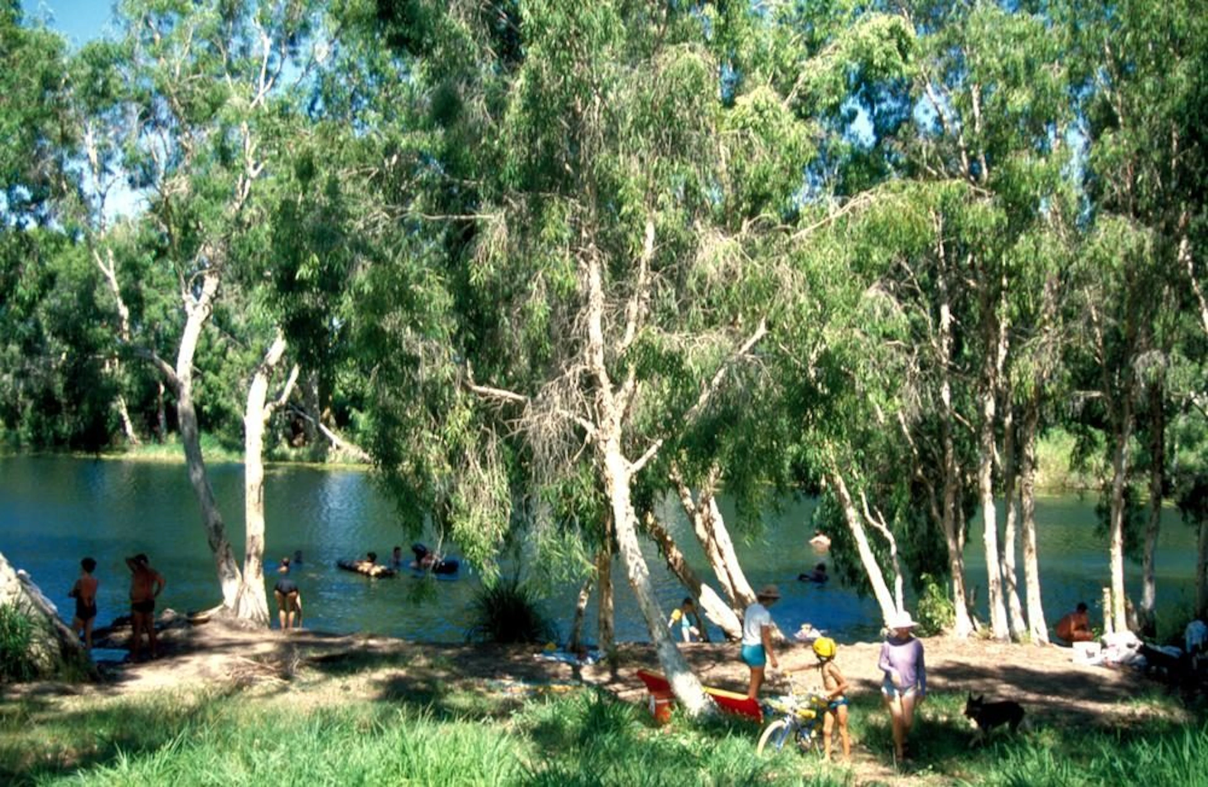 Bushy Parker Park in Rollingstone, QLD — photo 1