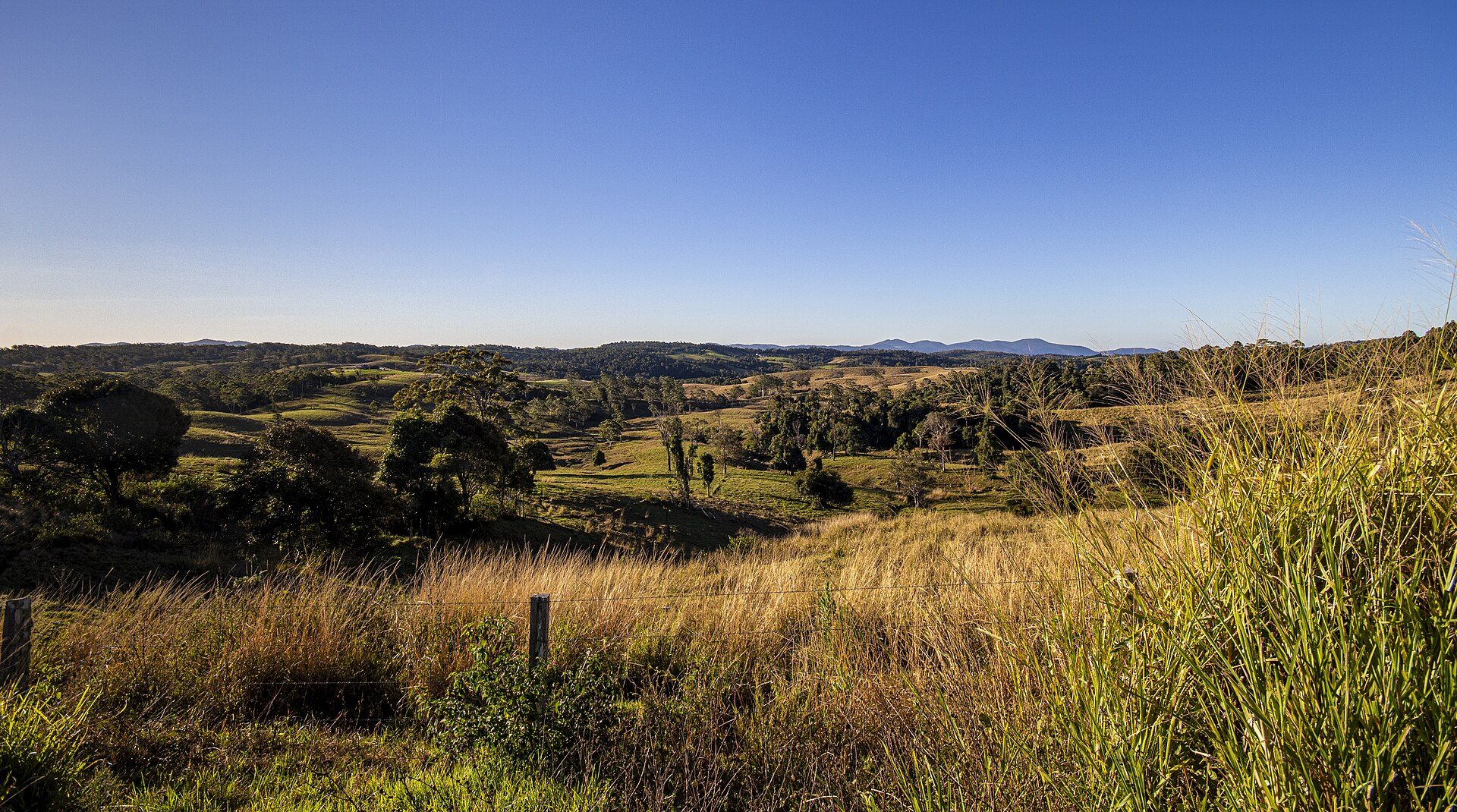Credition Hall Campground — Crediton, QLD