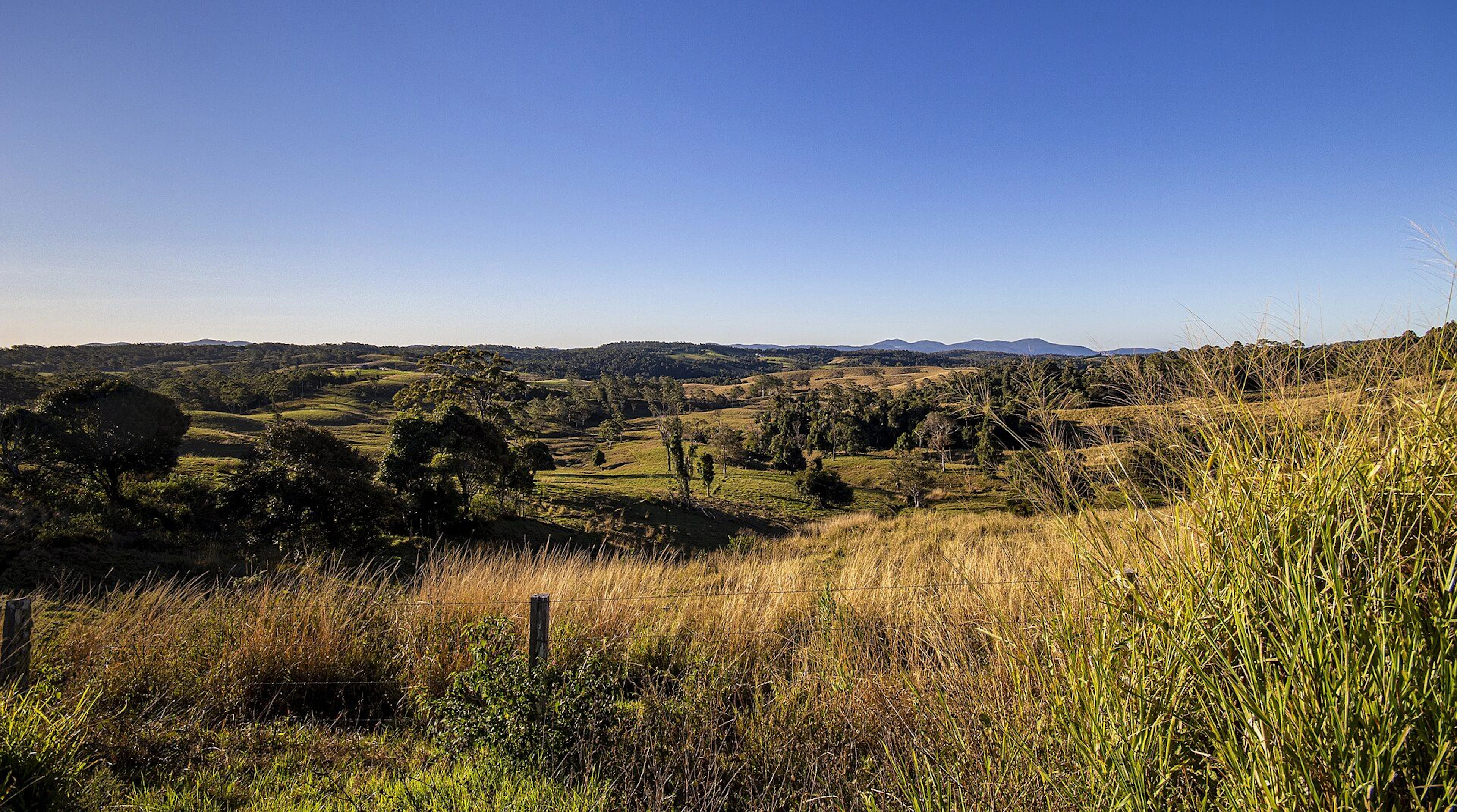 Credition Hall Campground in Crediton, QLD — photo 3