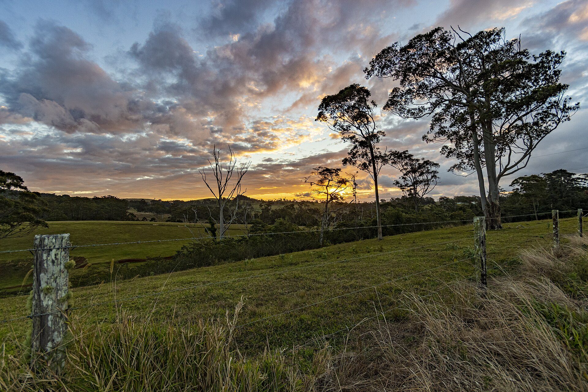 Credition Hall Campground in Crediton, QLD — photo 1