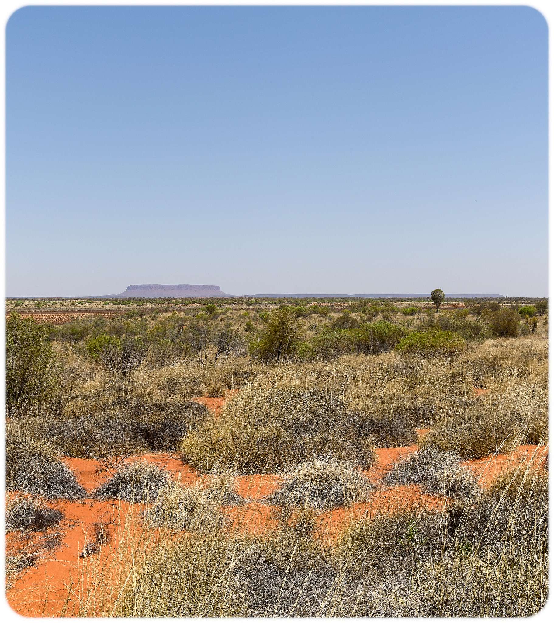 Mt Connor Lookout in Petermann, NT — photo 2