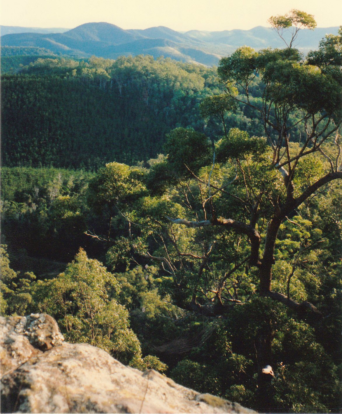 Glastonbury Creek Camping Area in Glastonbury, QLD — photo 1