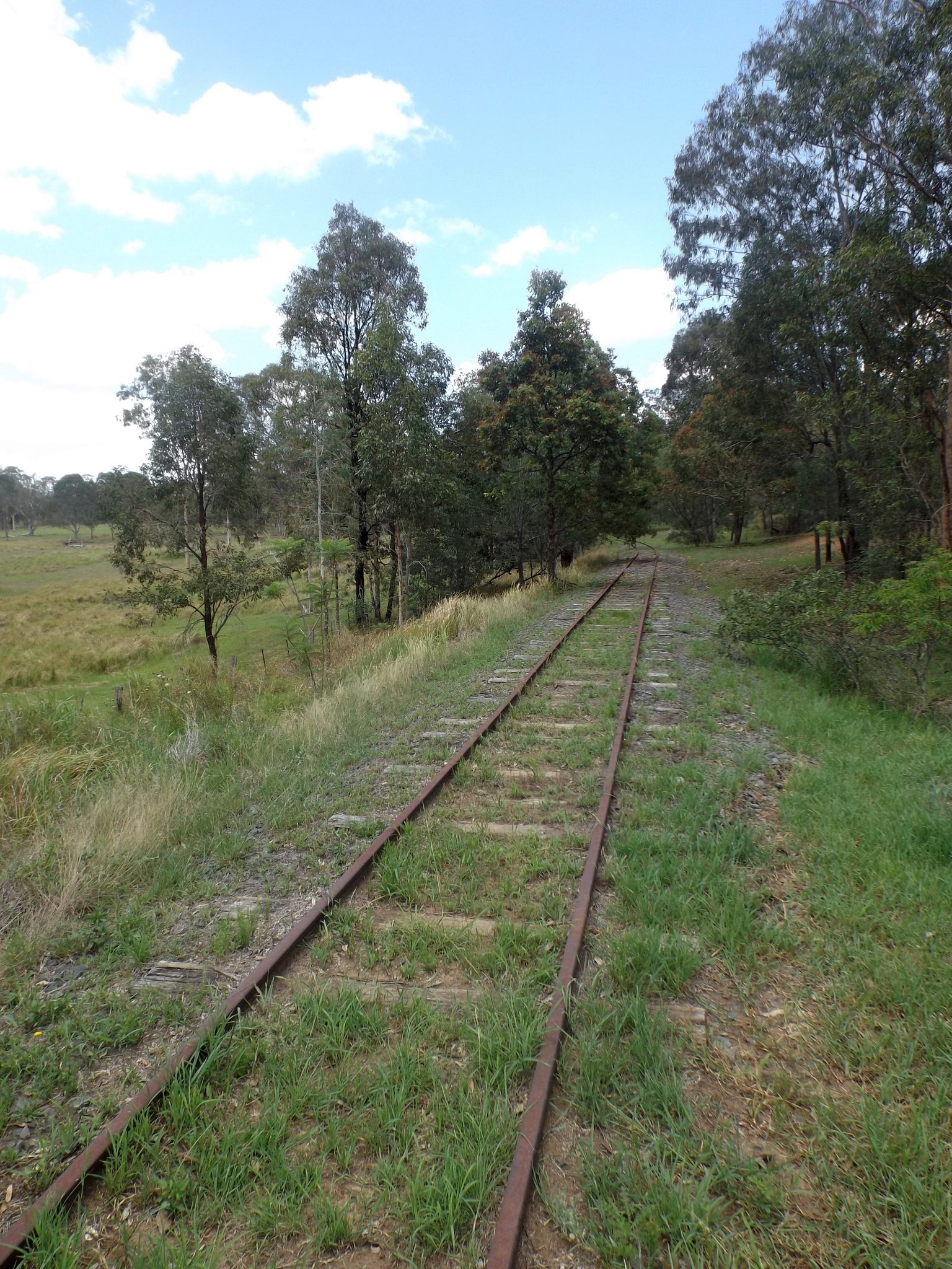 Cedar Grove Campground in Amamoor Creek, QLD — photo 2