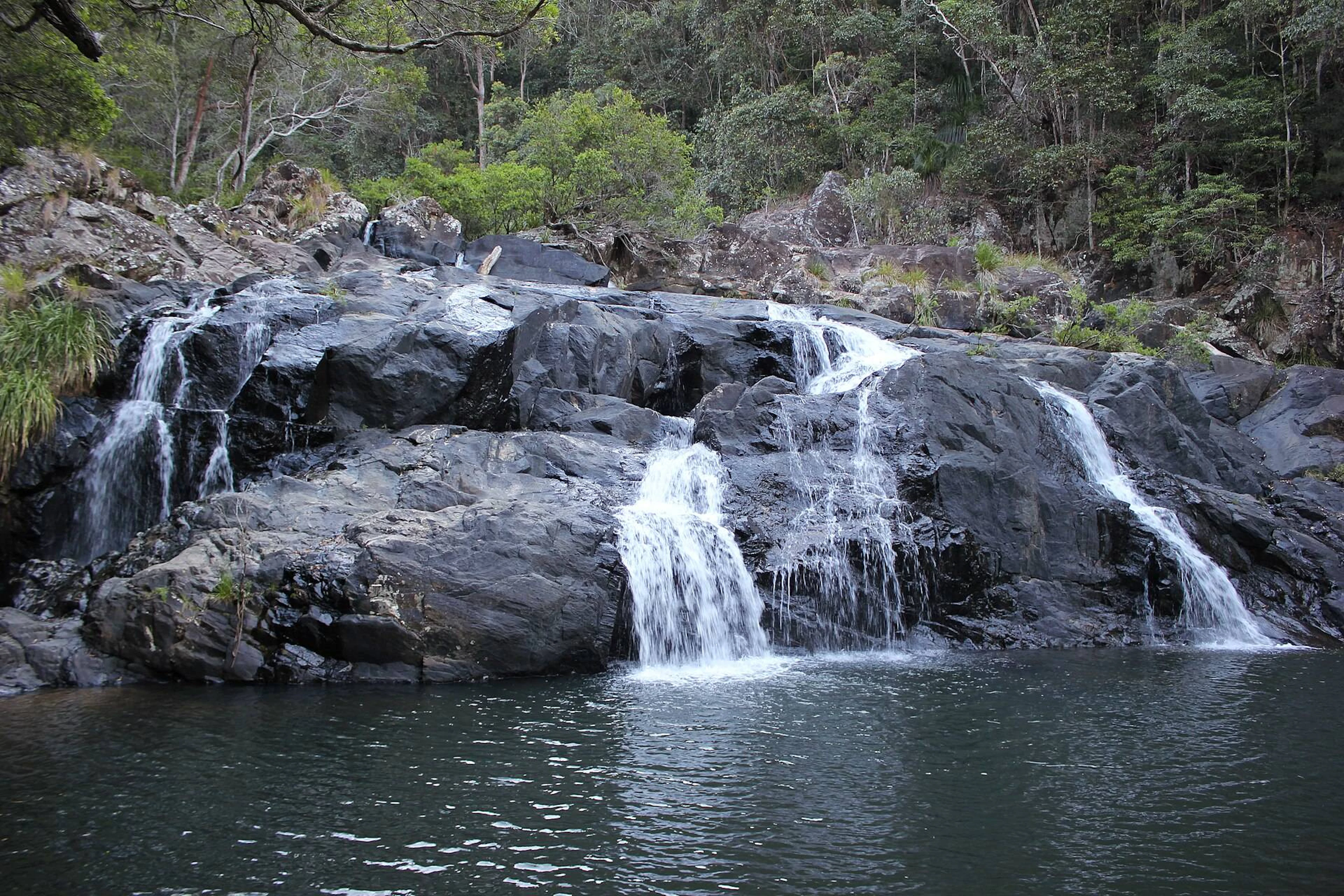 Charlie Moreland Campground in Kenilworth, QLD — photo 1