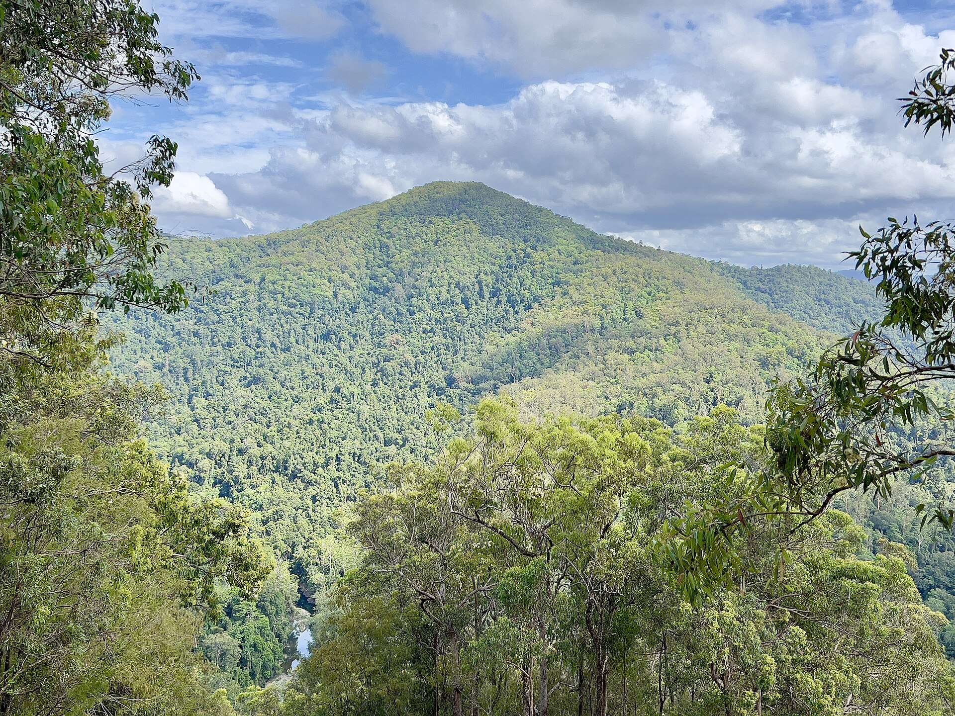 Booloumba Creek No4 Campground in Cambroon, QLD — photo 1