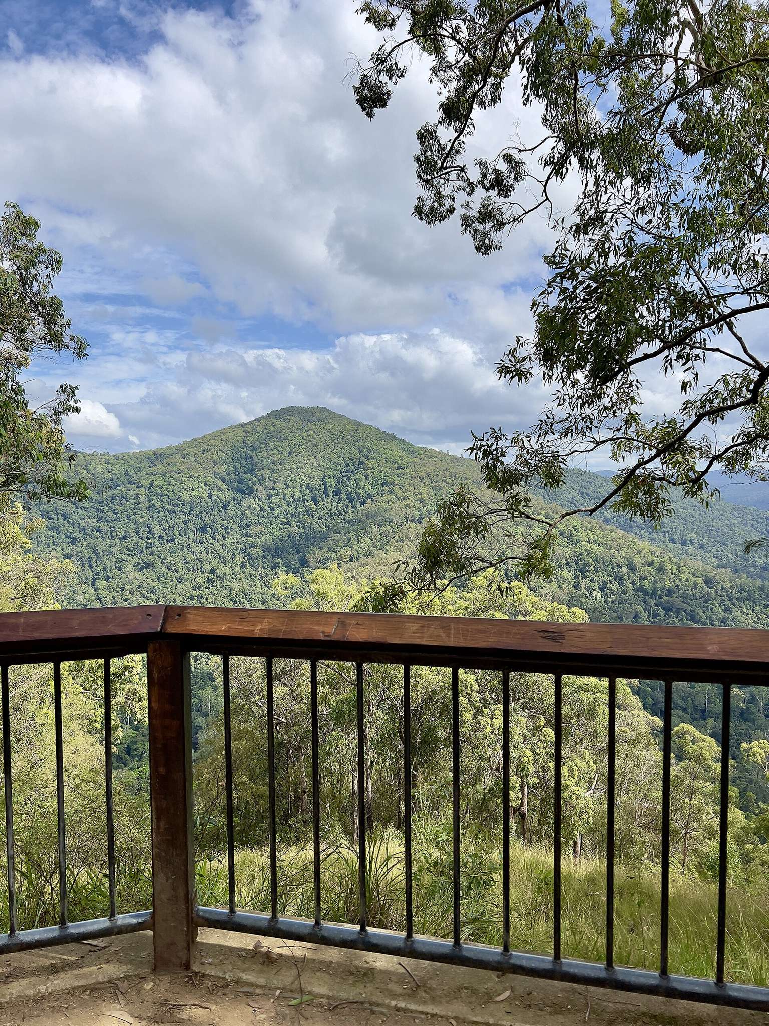 Booloumba Creek No4 Campground — Cambroon, QLD