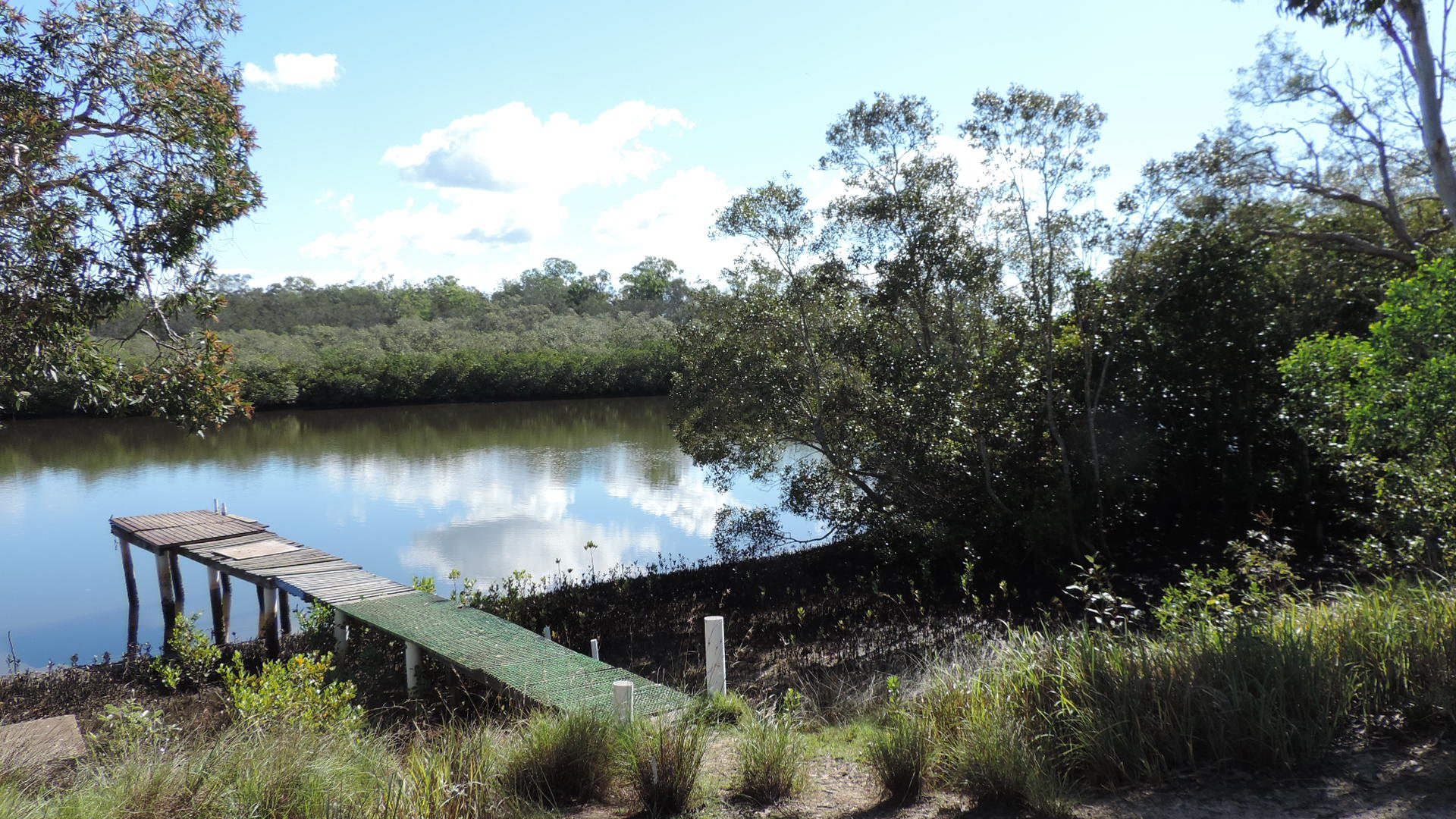 Coochin Creek Campground — Coochin Creek, QLD