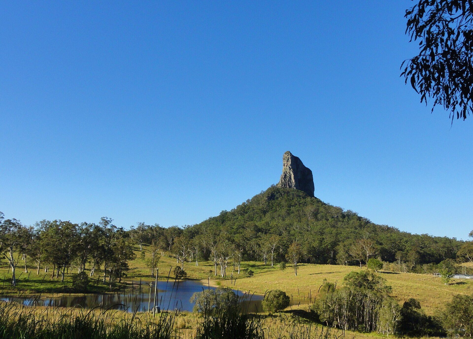 Glasshouse Mountains Campground in Glass House Mountains, QLD — photo 1