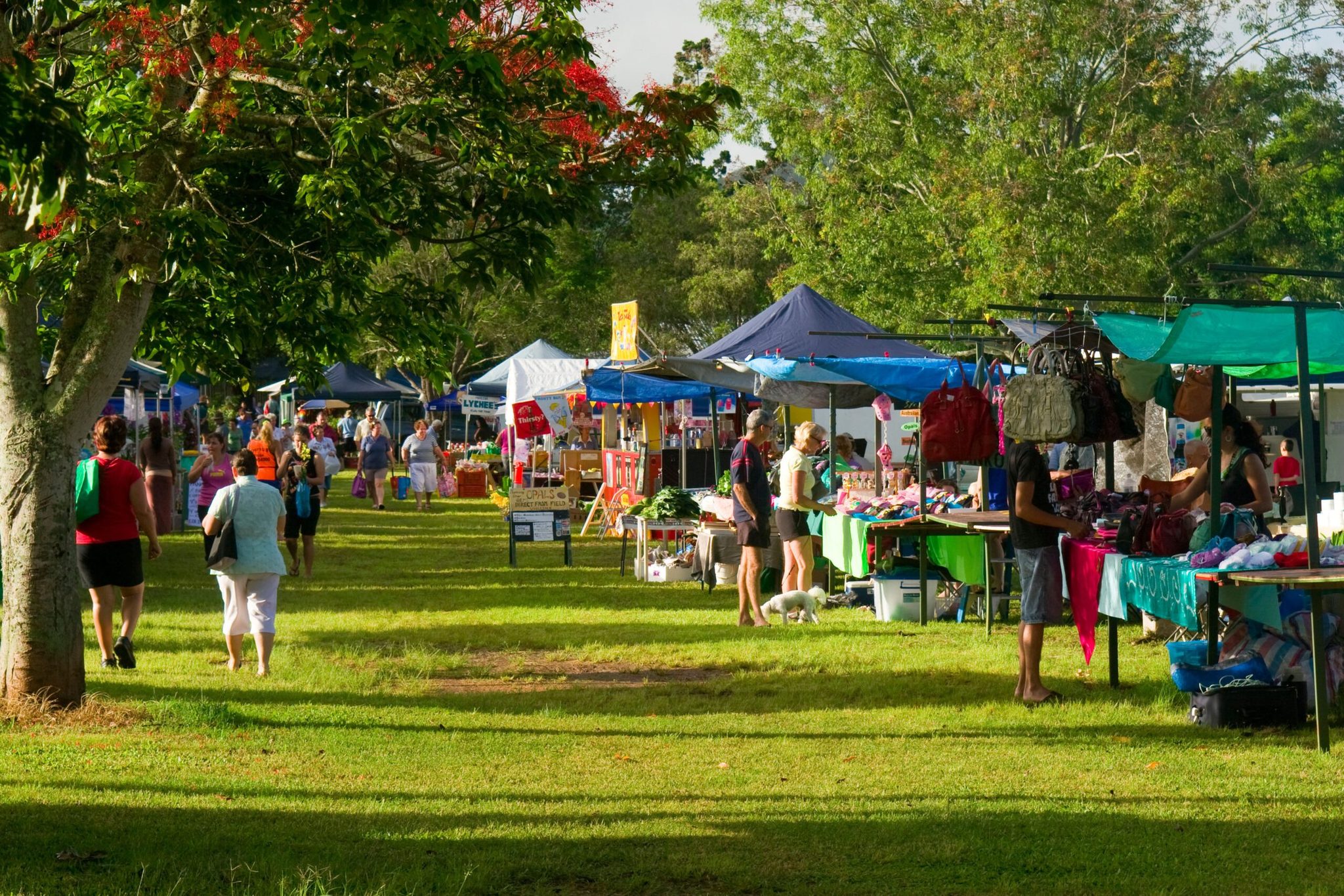 Wild River Caravan Park in HERBERTON, QLD — photo 5