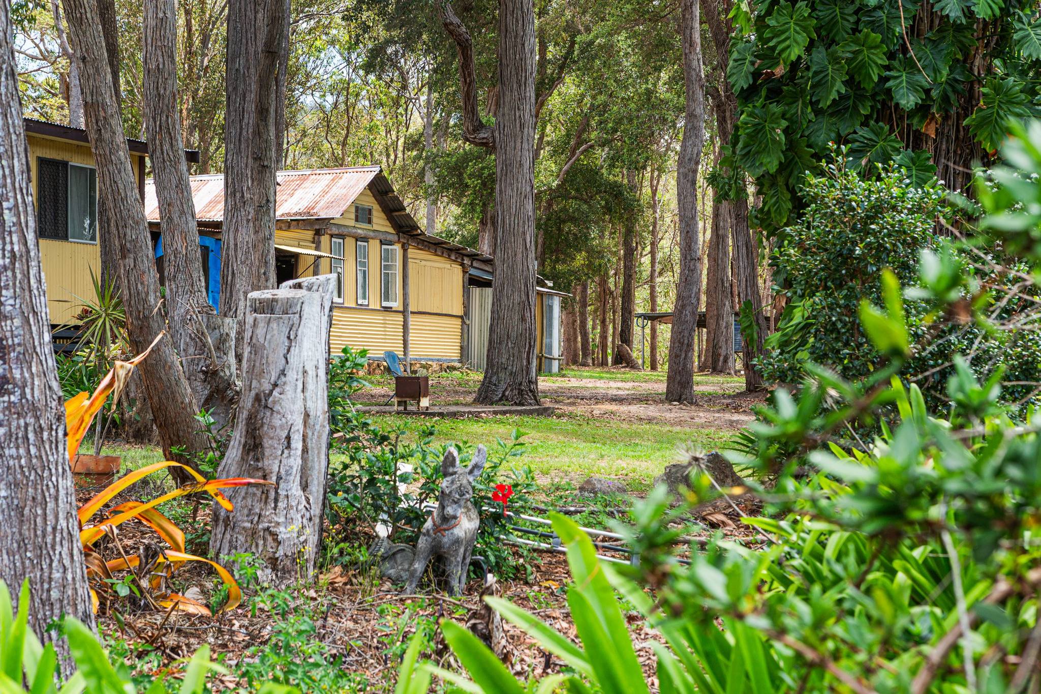 Wild River Caravan Park in HERBERTON, QLD — photo 5