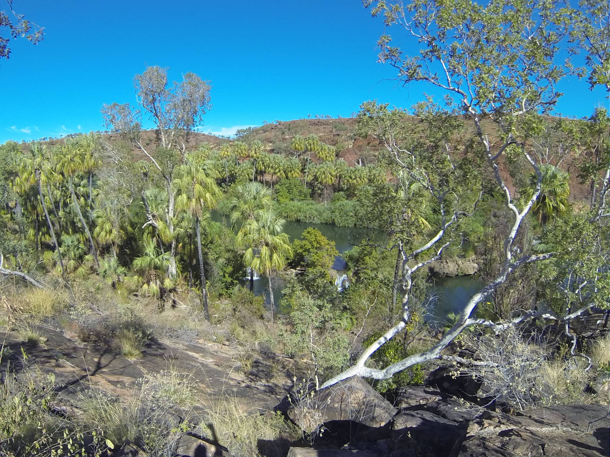 Lawn Hill Camping Area in Lawn Hill, QLD — photo 1