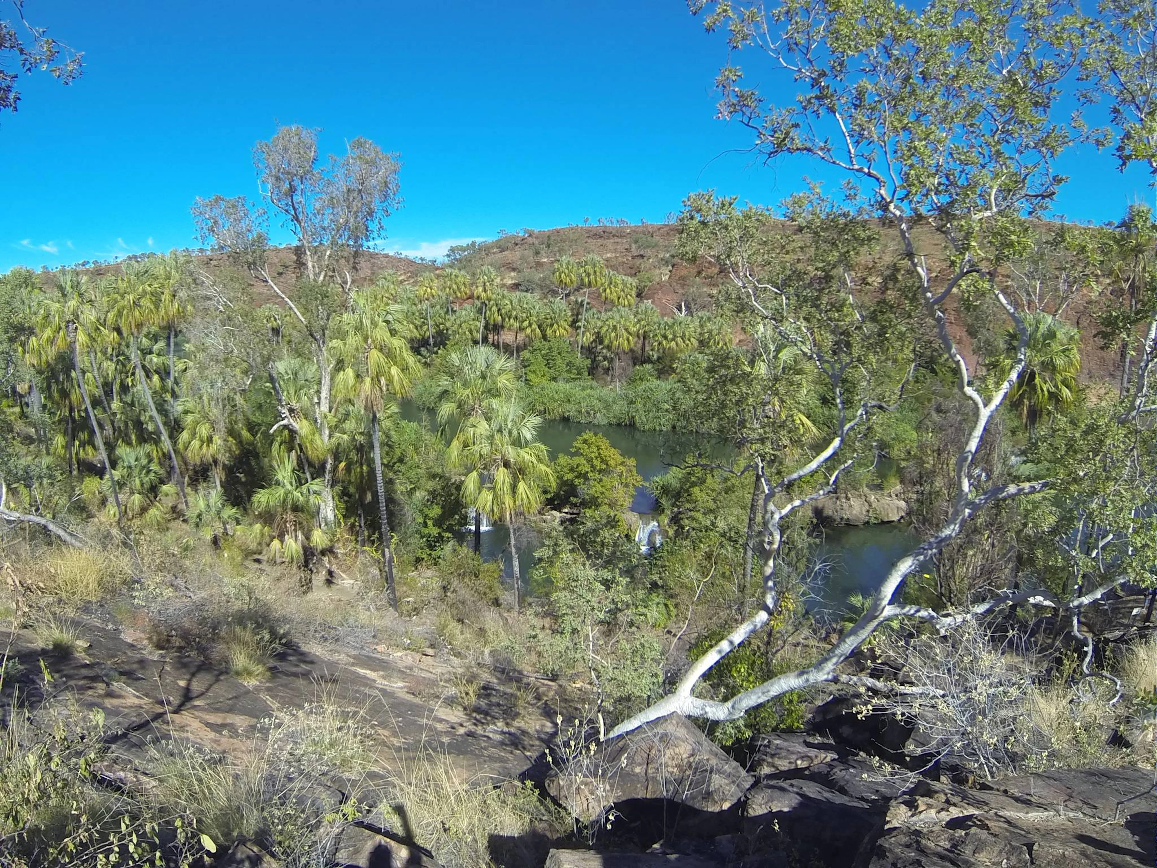 Lawn Hill Camping Area in Lawn Hill, QLD — photo 1